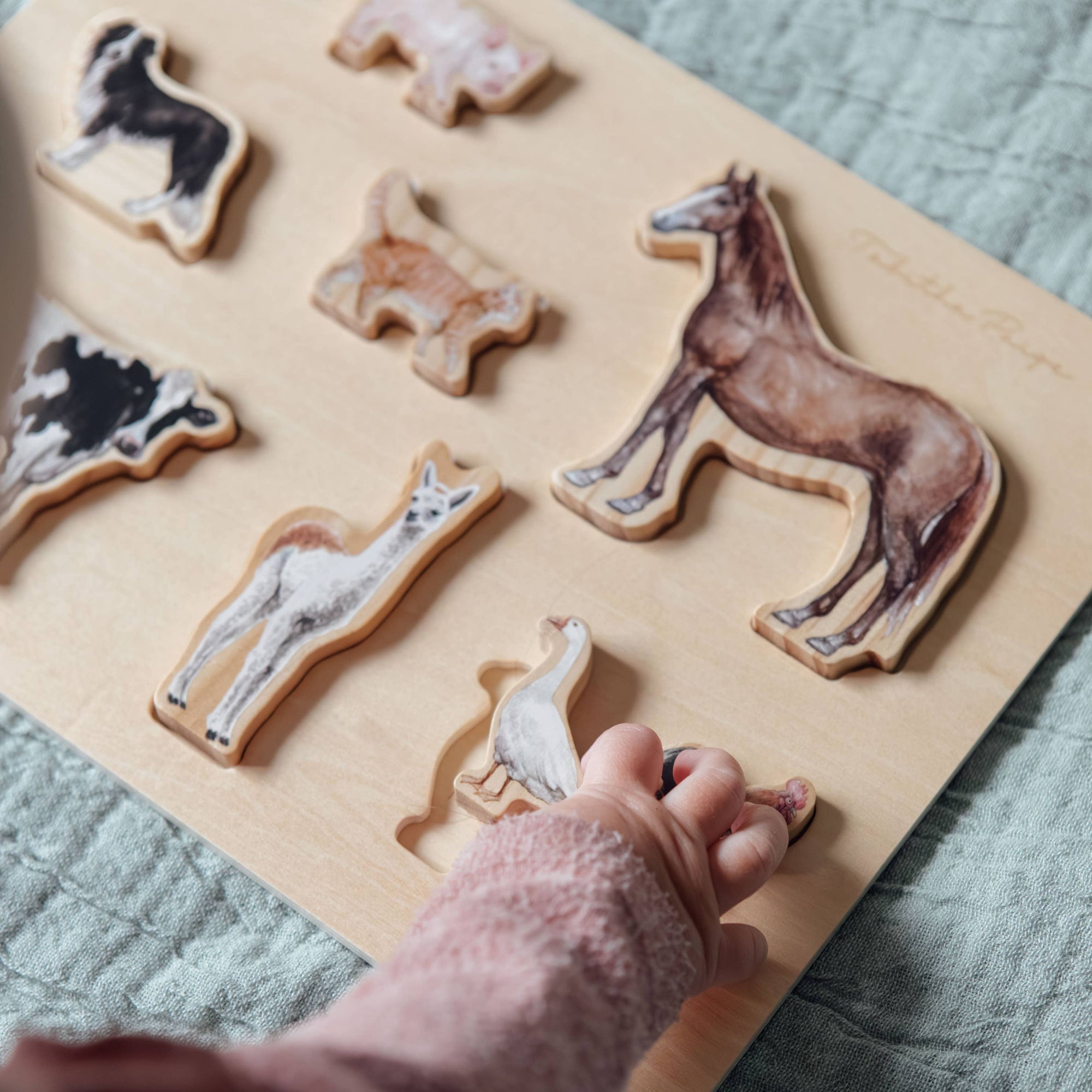 Wooden puzzle with animal shapes on a textured surface