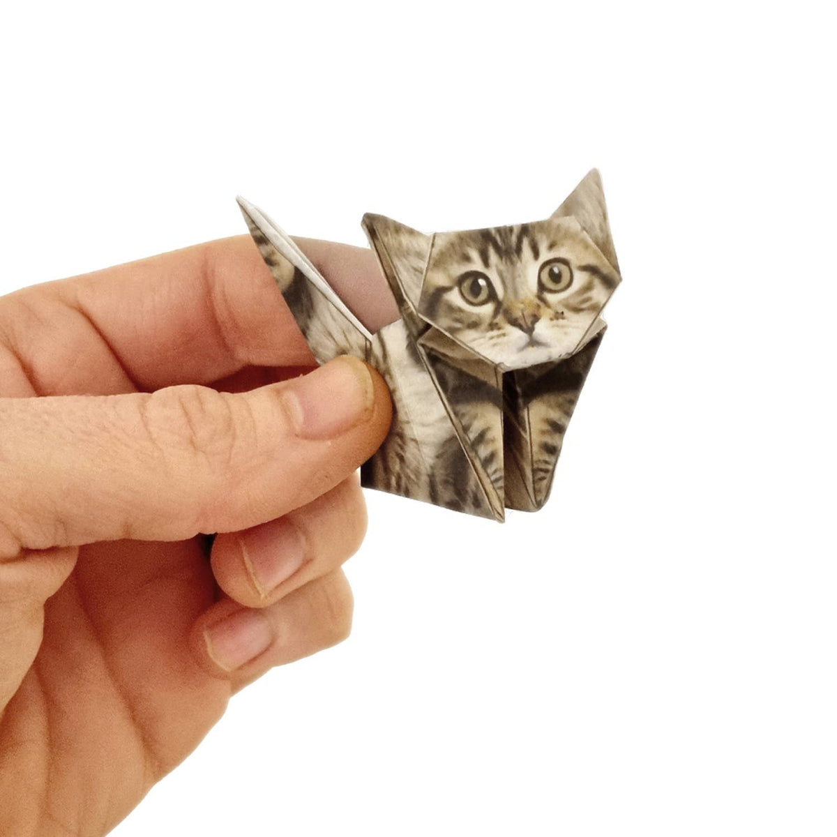 Hand holding a small origami cat on a white background