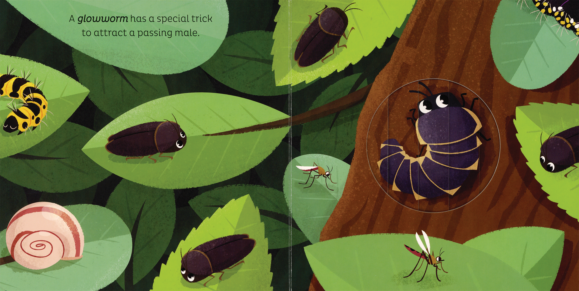 Illustration of a glowworm in a forest setting with leaves and insects.