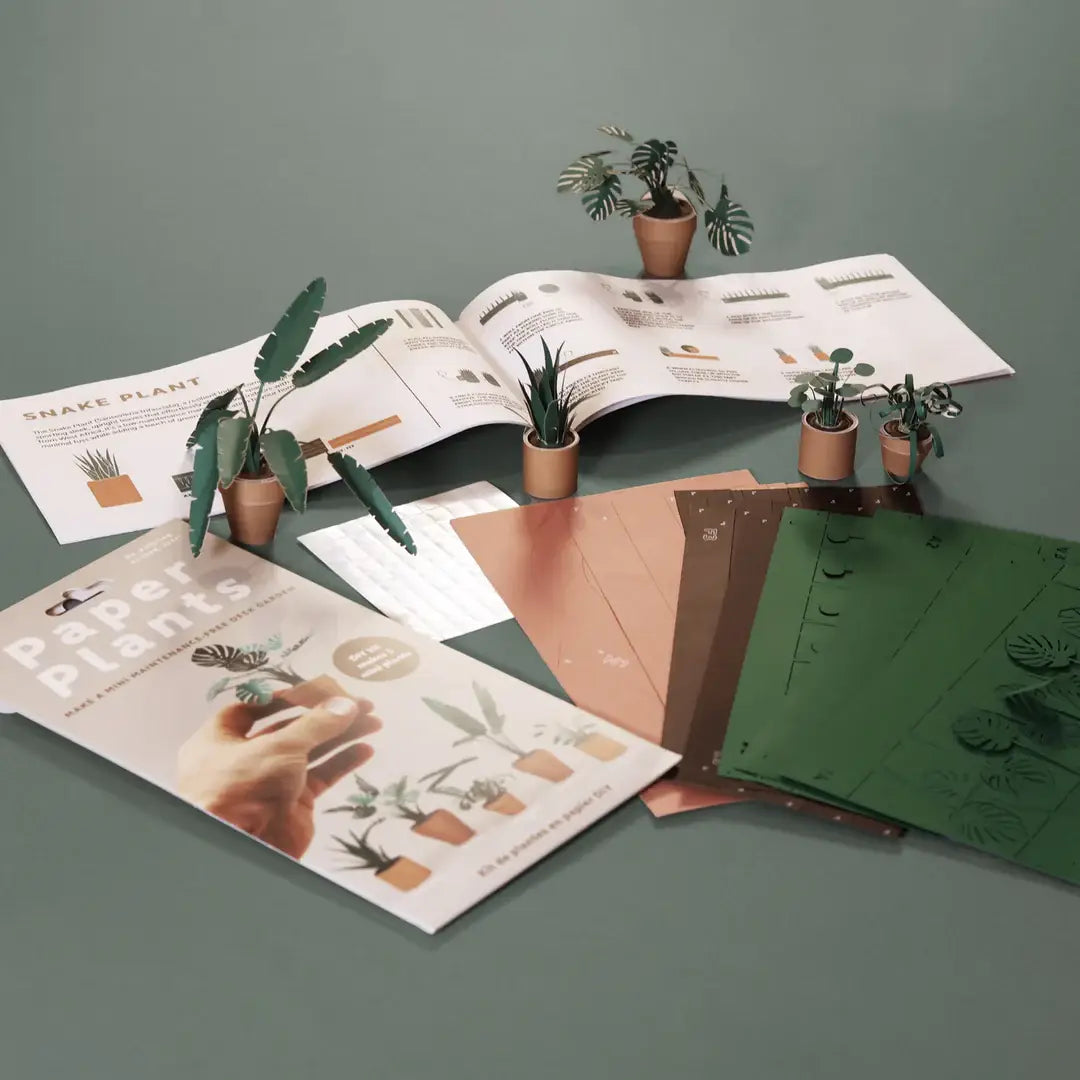 Set of paper plants and plant care guides on a gray surface