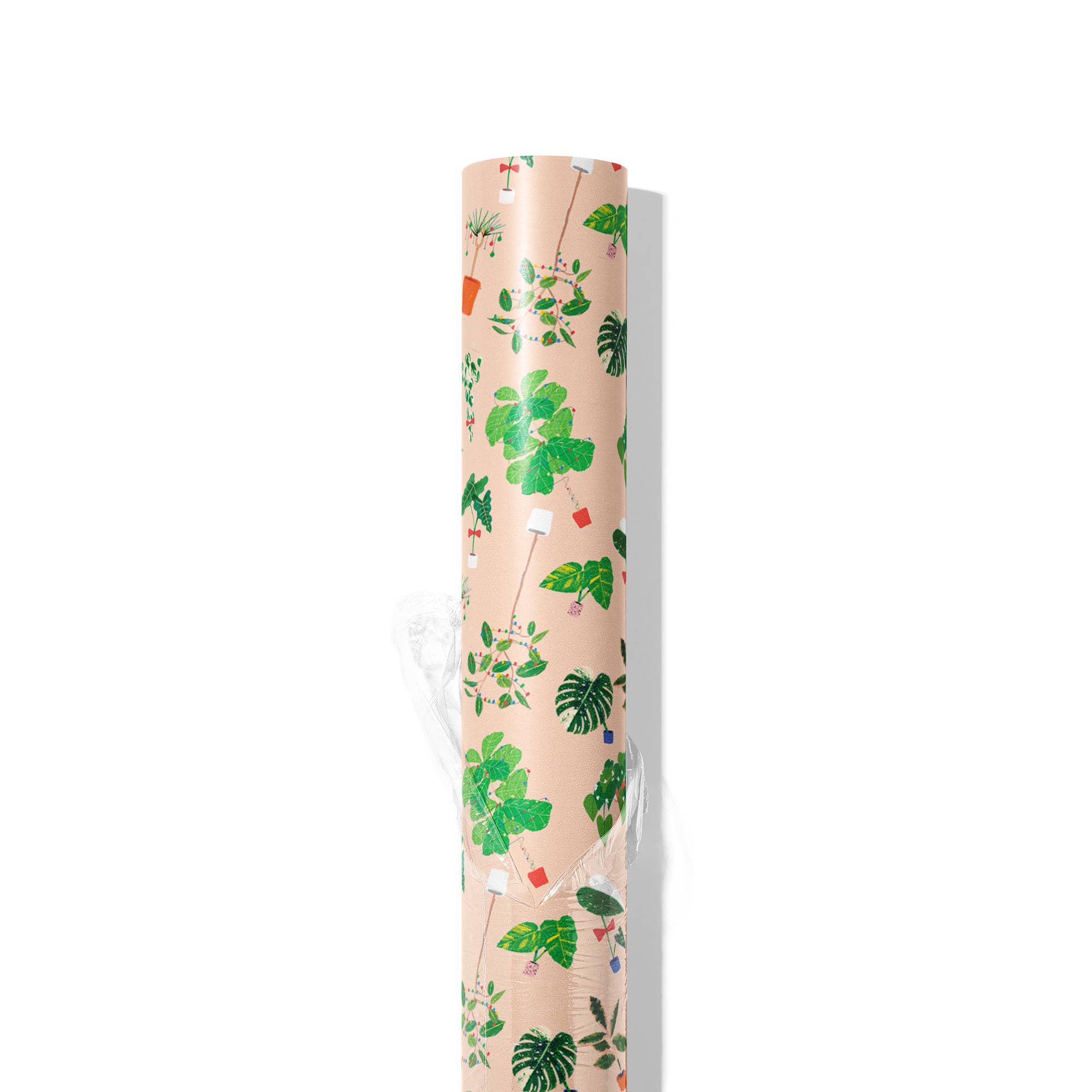 BOTANICAL XMAS  - Rolled Gift Wrap