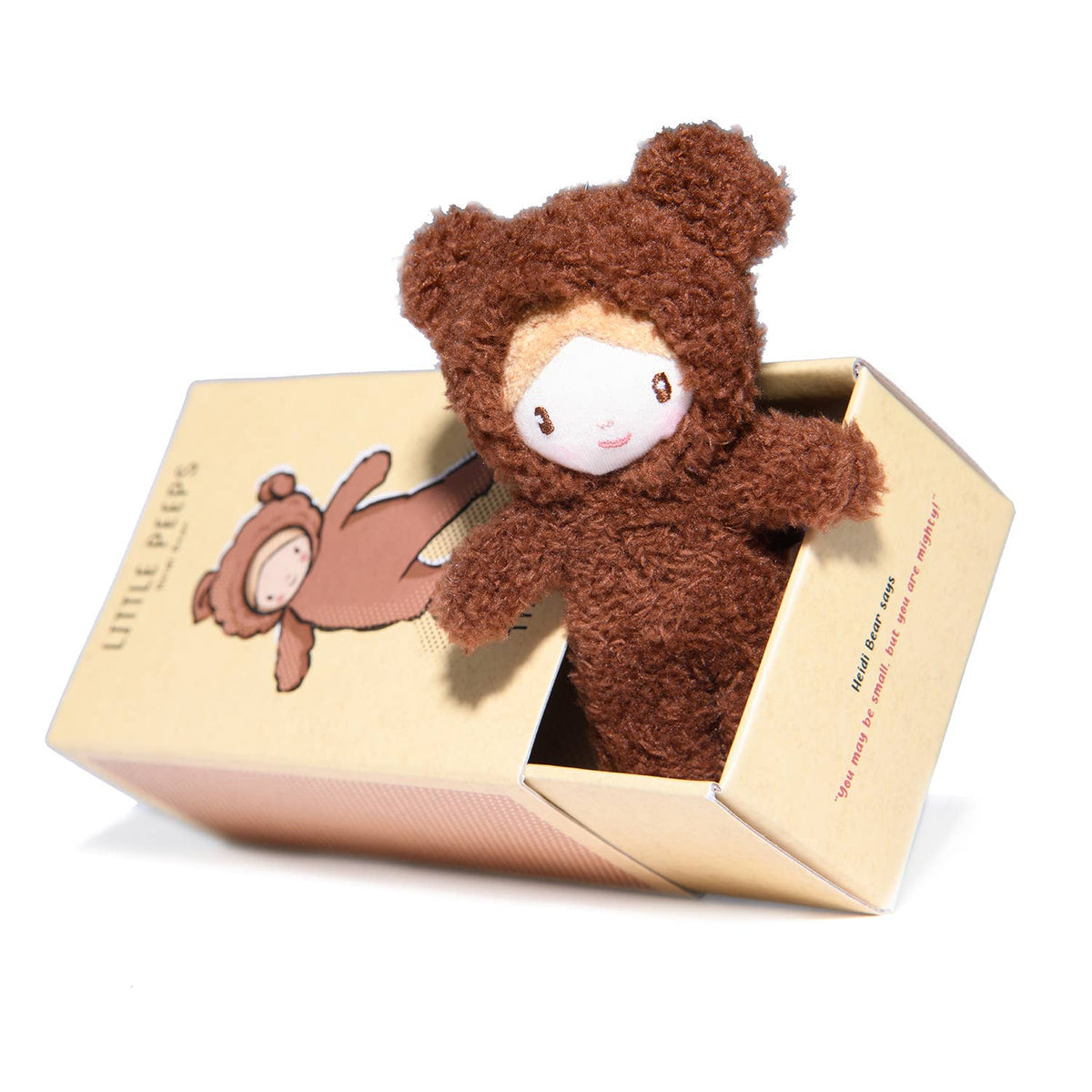 Brown teddy bear plush toy in a decorative box on a white background