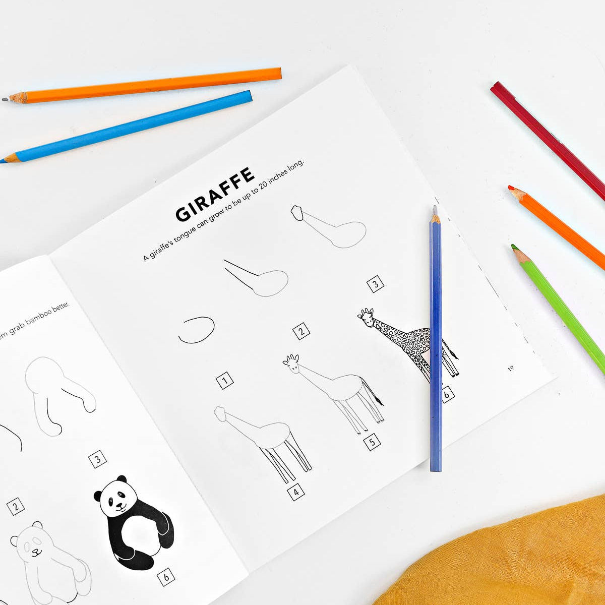 Coloring book with giraffe and panda illustrations and colored pencils on a white surface.