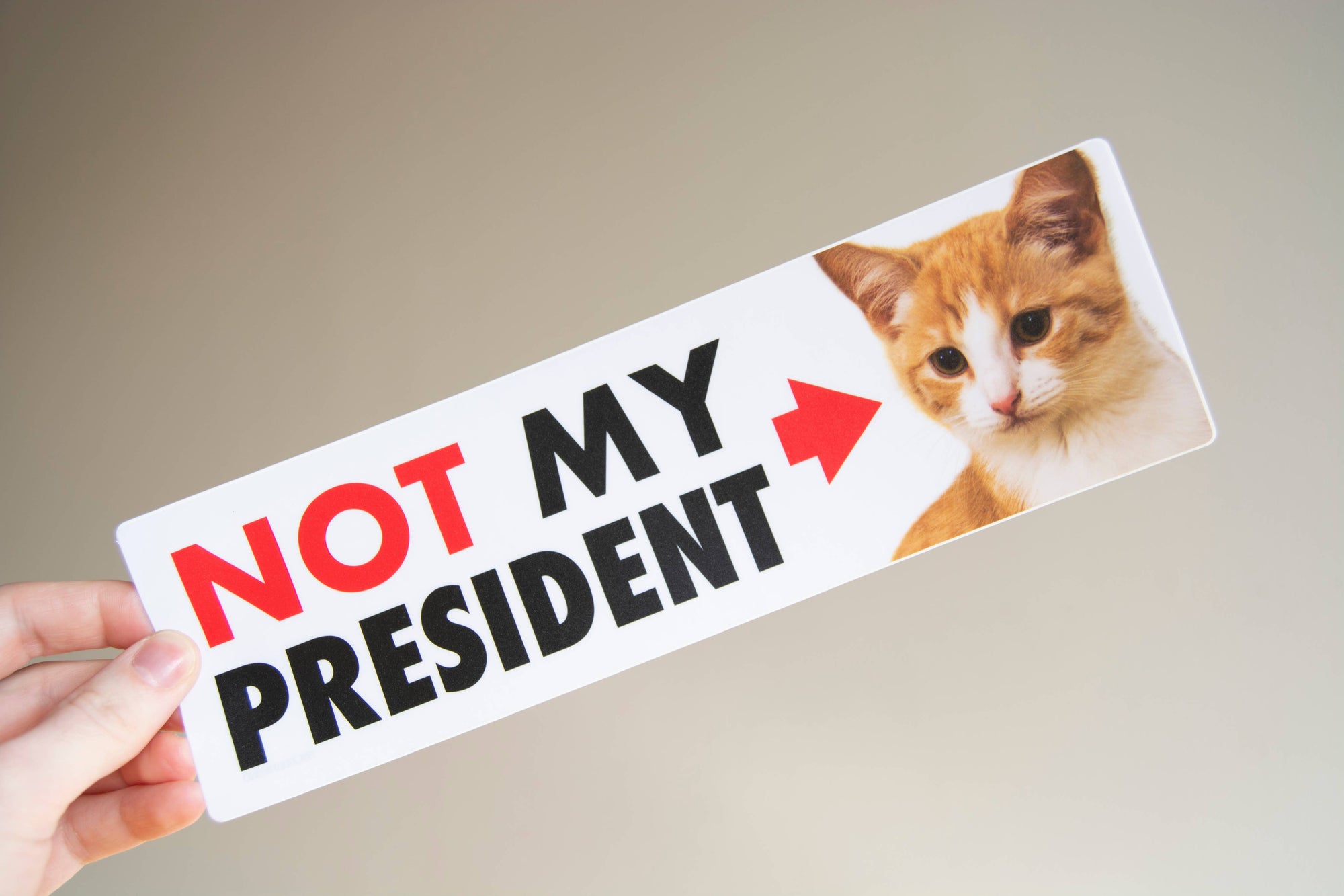 NOT My President (Kitten) - Matte Vinyl 10" Bumper Sticker