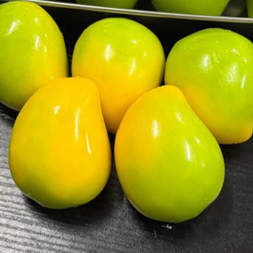 Several glossy yellow-green tomatoes arranged on a dark surface.