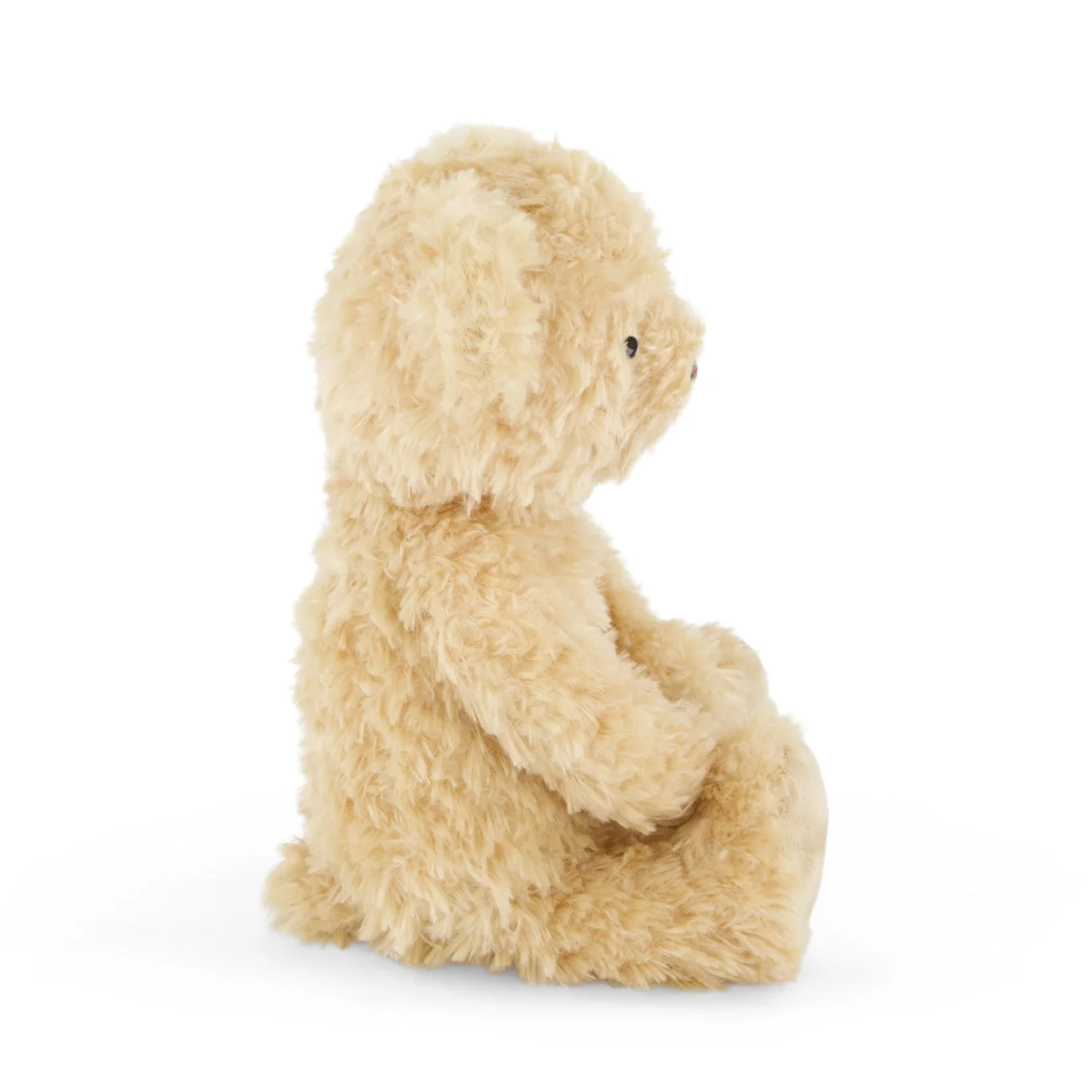 Small beige teddy bear sitting on a white background