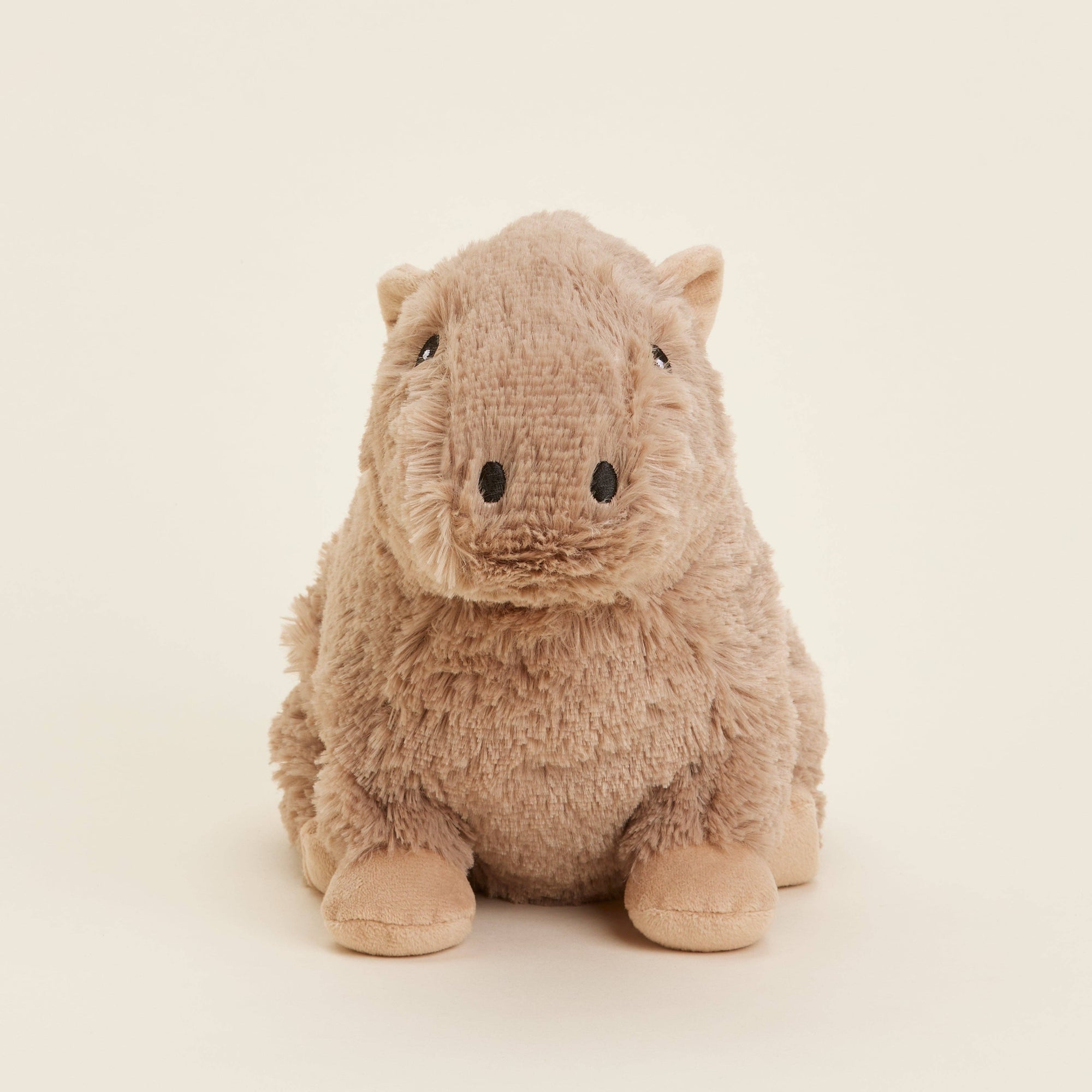 Plush toy capybara on a beige background