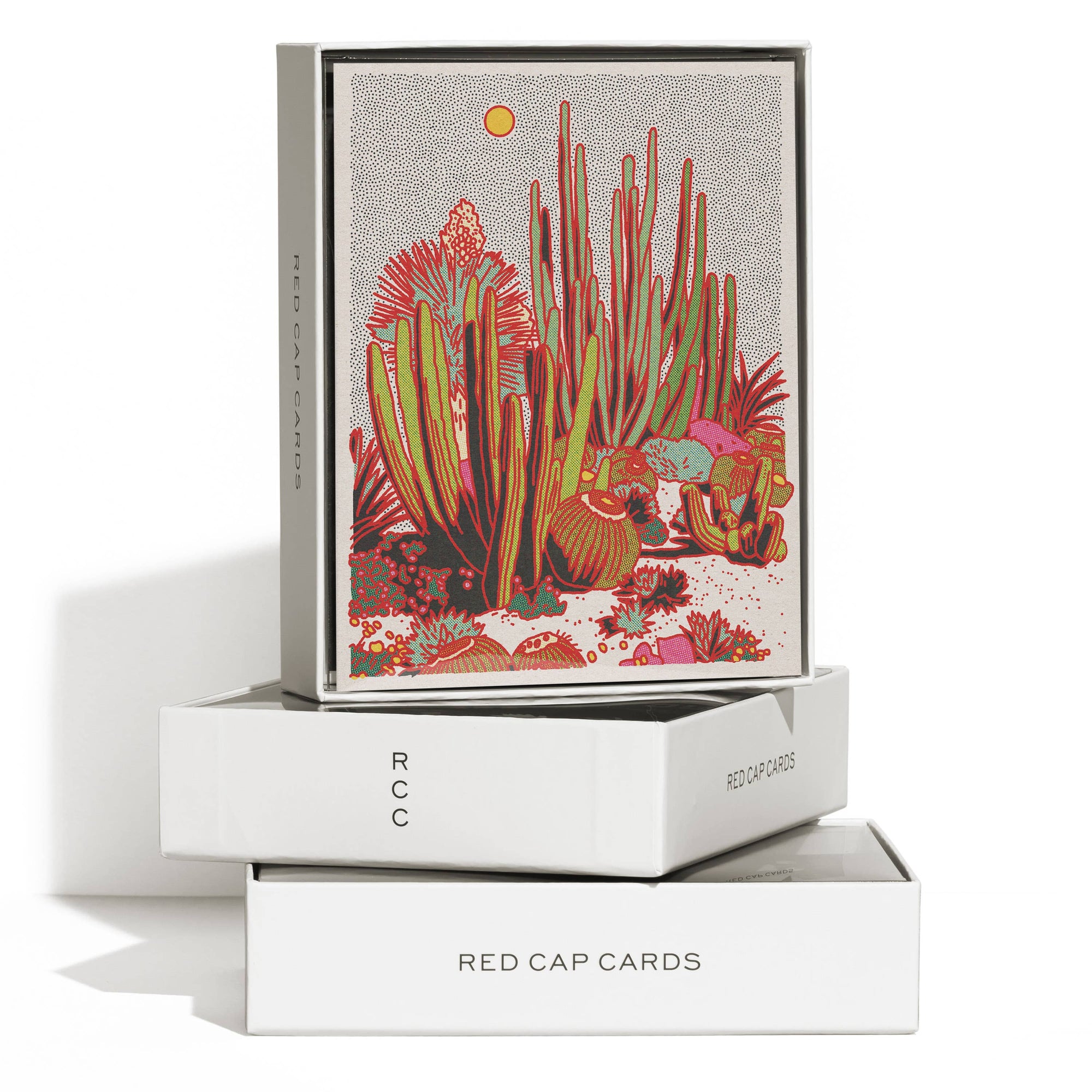 Cactus Scene Boxed cards