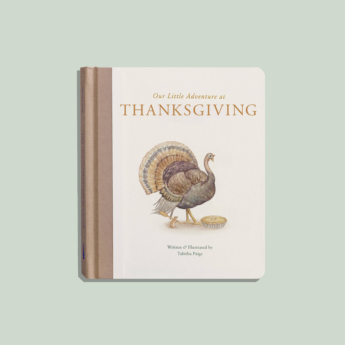 A children's hardcover book titled "Our Little Adventure at Thanksgiving" by Tinkles Page, featuring a watercolor turkey illustration on the front cover, shown against a solid light sage green background.