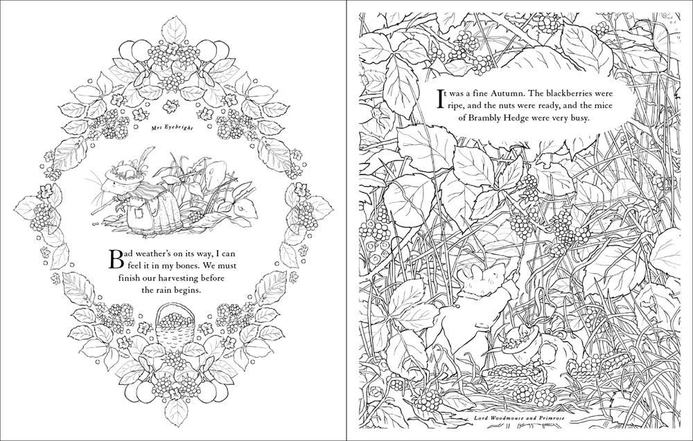 Two pages from a coloring book with intricate illustrations and text.
