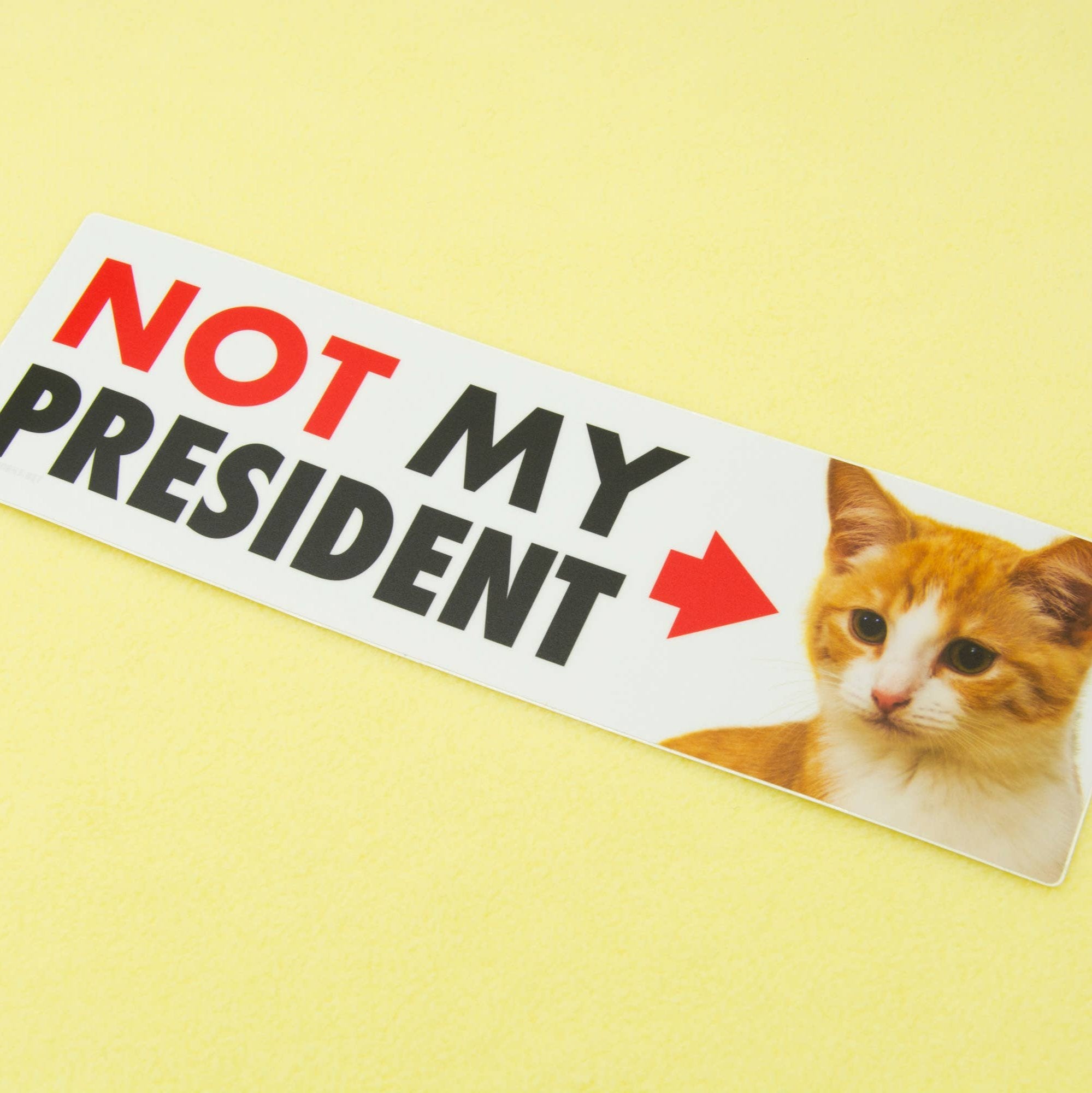 NOT My President (Kitten) - Matte Vinyl 10" Bumper Sticker