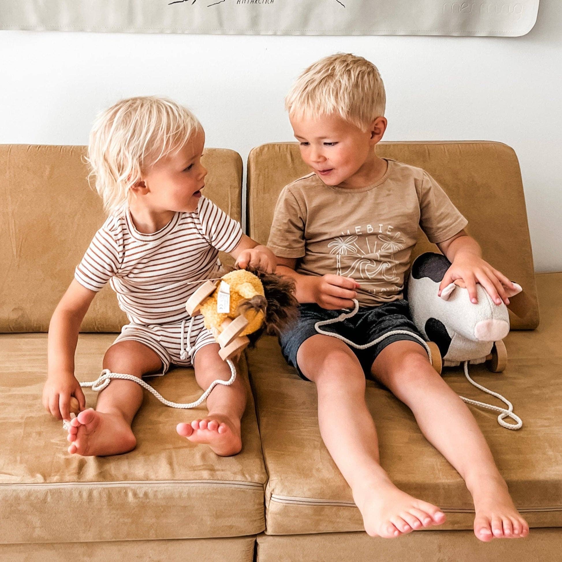 Leo // Pull-Along Toy
