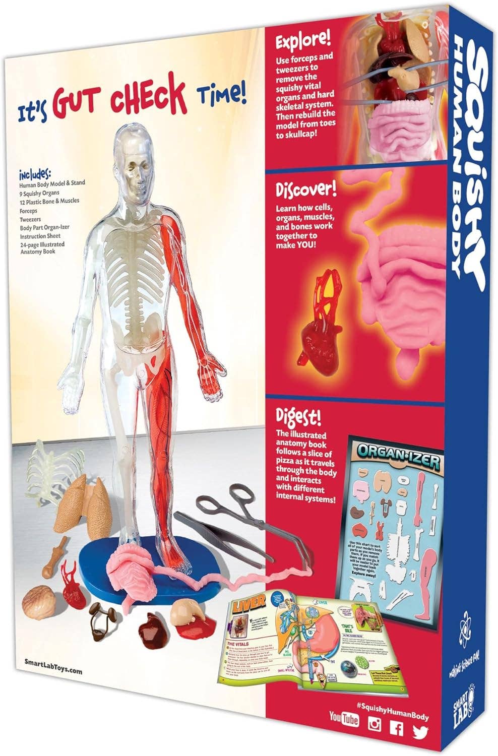 Educational toy packaging for a human anatomy model with various components and text on the box.