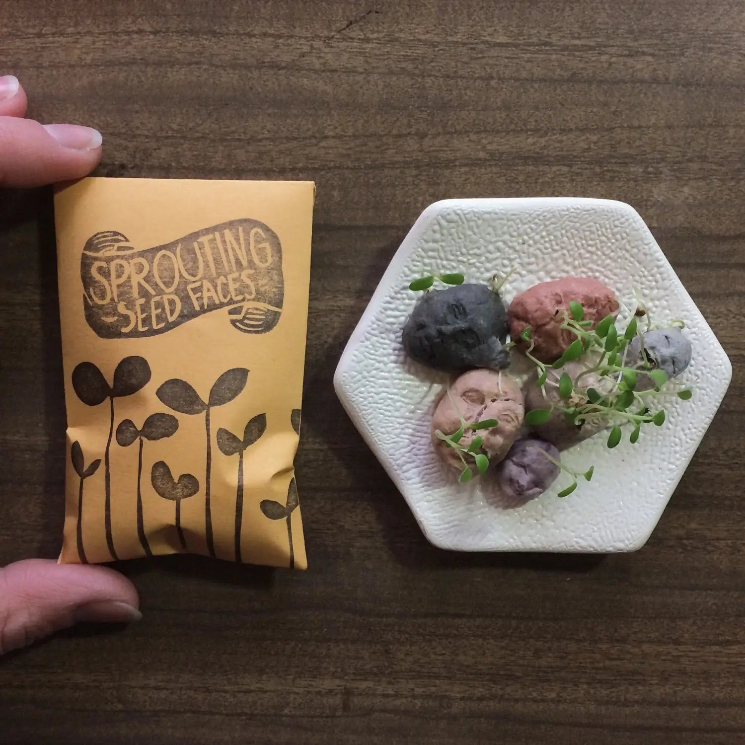 Sprouting seed faces packaging with a small hexagonal white dish containing sprouted seeds on a wooden surface.