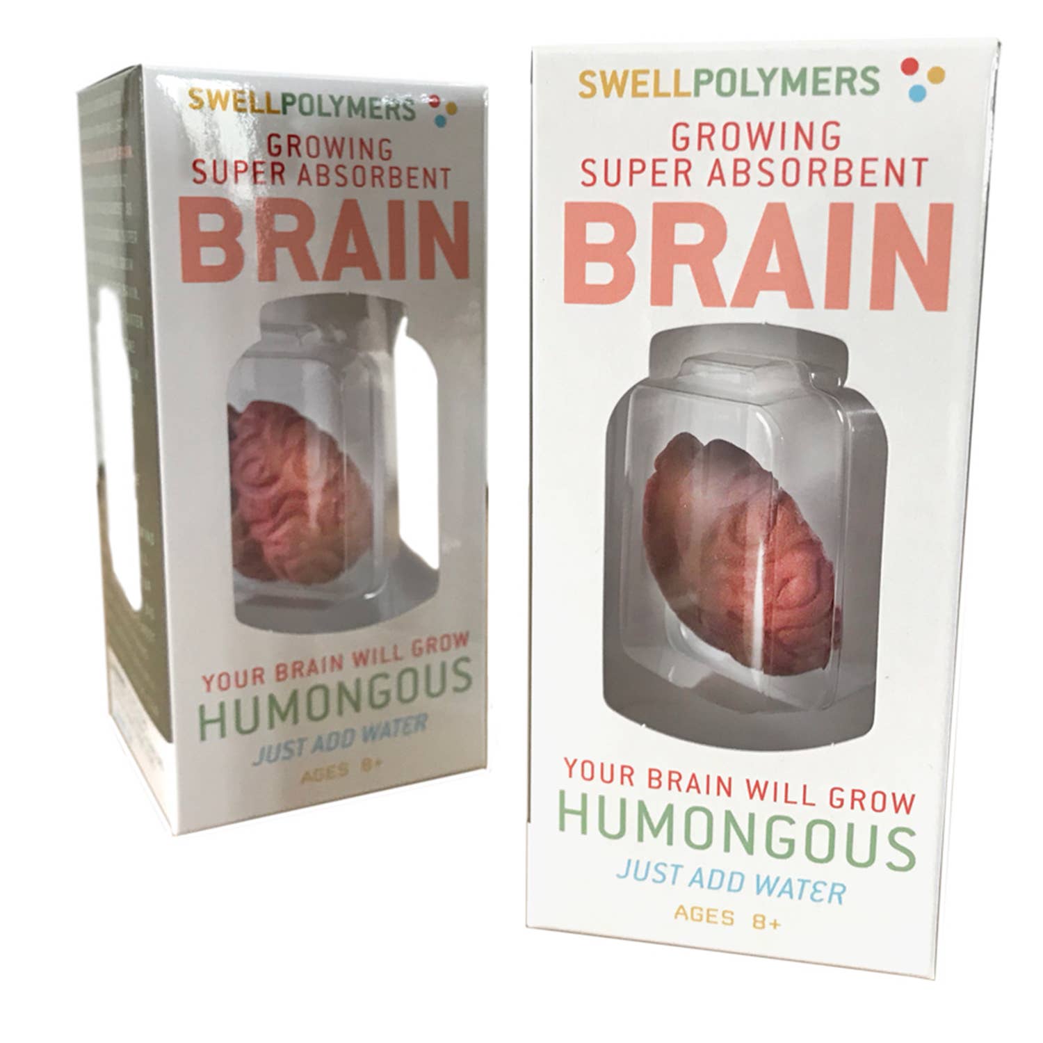 The image shows a science kit called 'Grow a Brain' by Swell Polymers, which includes a polymer brain model that grows in size when placed in water. The product is packaged in a clear plastic box with a display window showing the brain model inside.