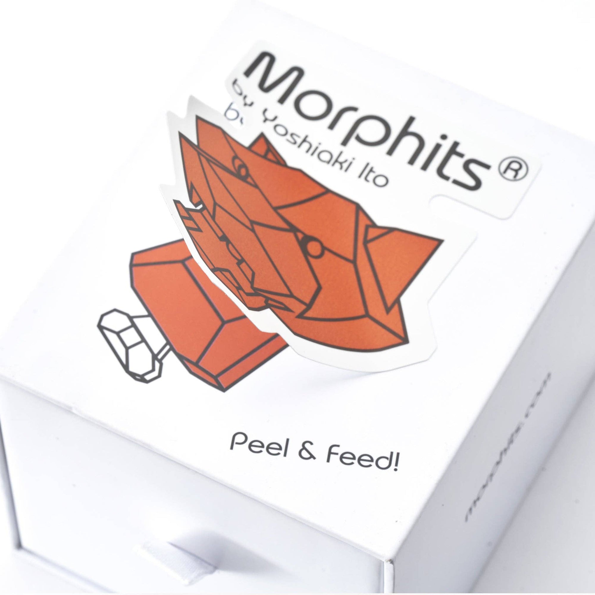 Morphits Tiger Wooden Toy