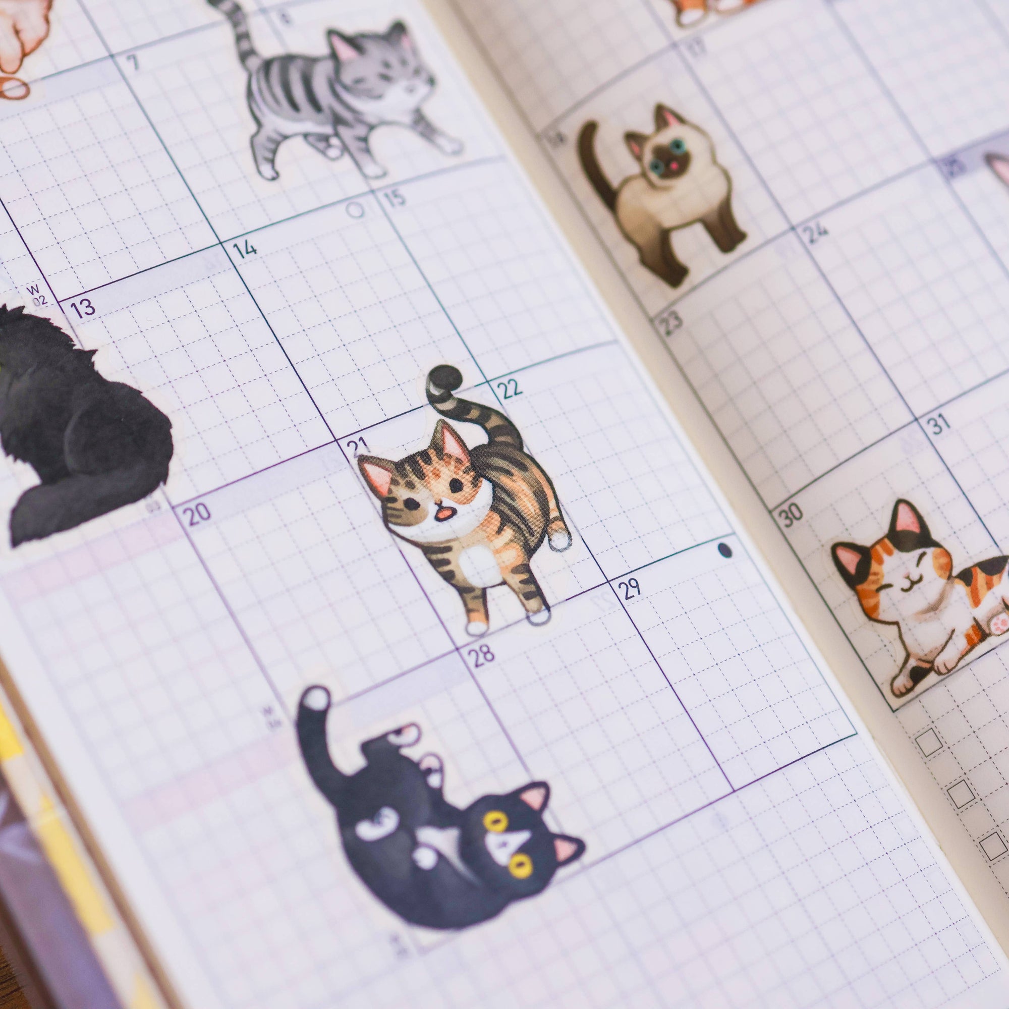 Calendar with cat illustrations on each day