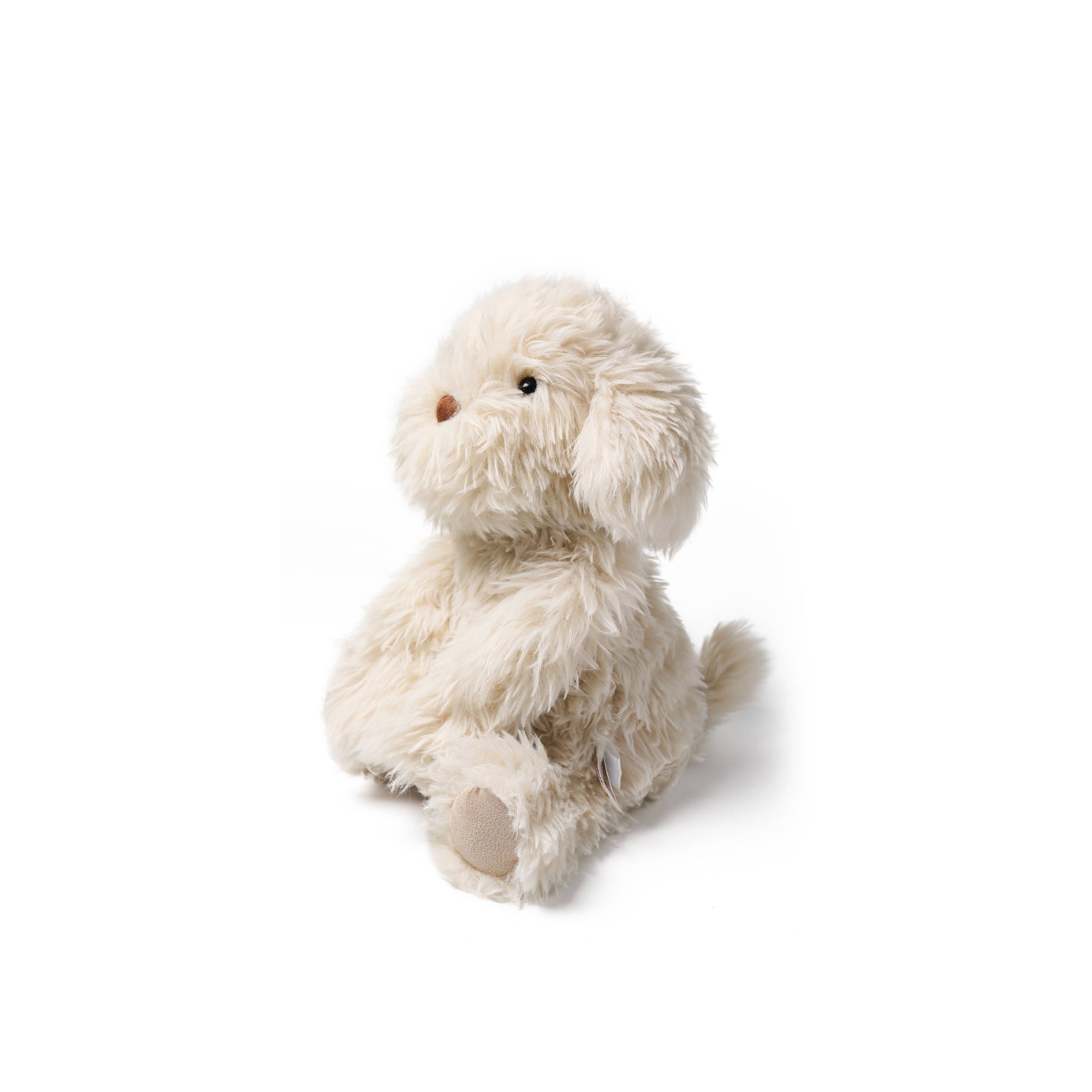 A fluffy cream-colored plush dog toy with small black eyes and a brown nose, sitting on a solid white background.