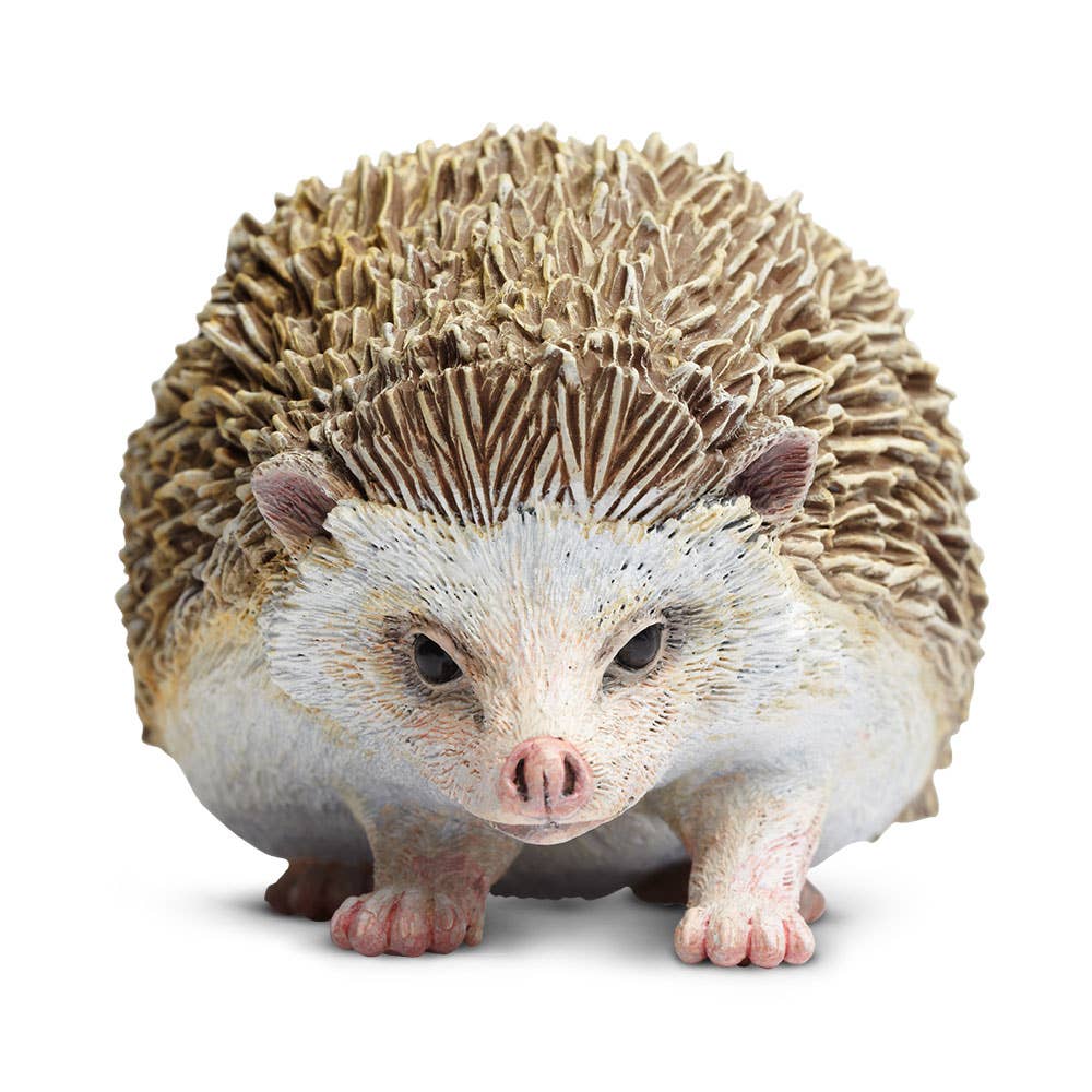 Hedgehog figurine on a white background