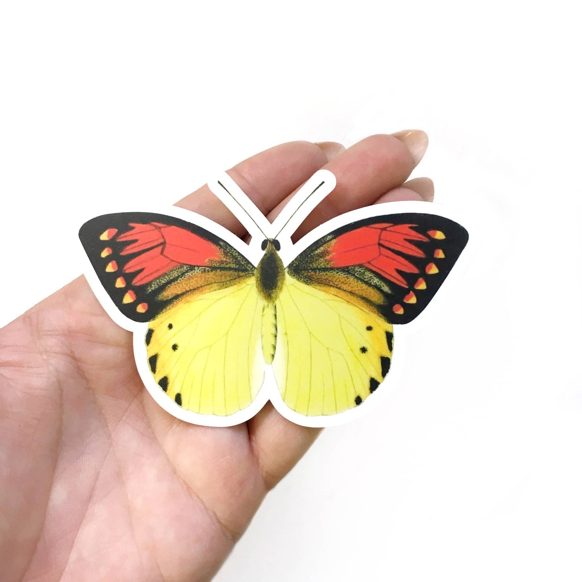 Butterfly-shaped object held in a hand against a white background