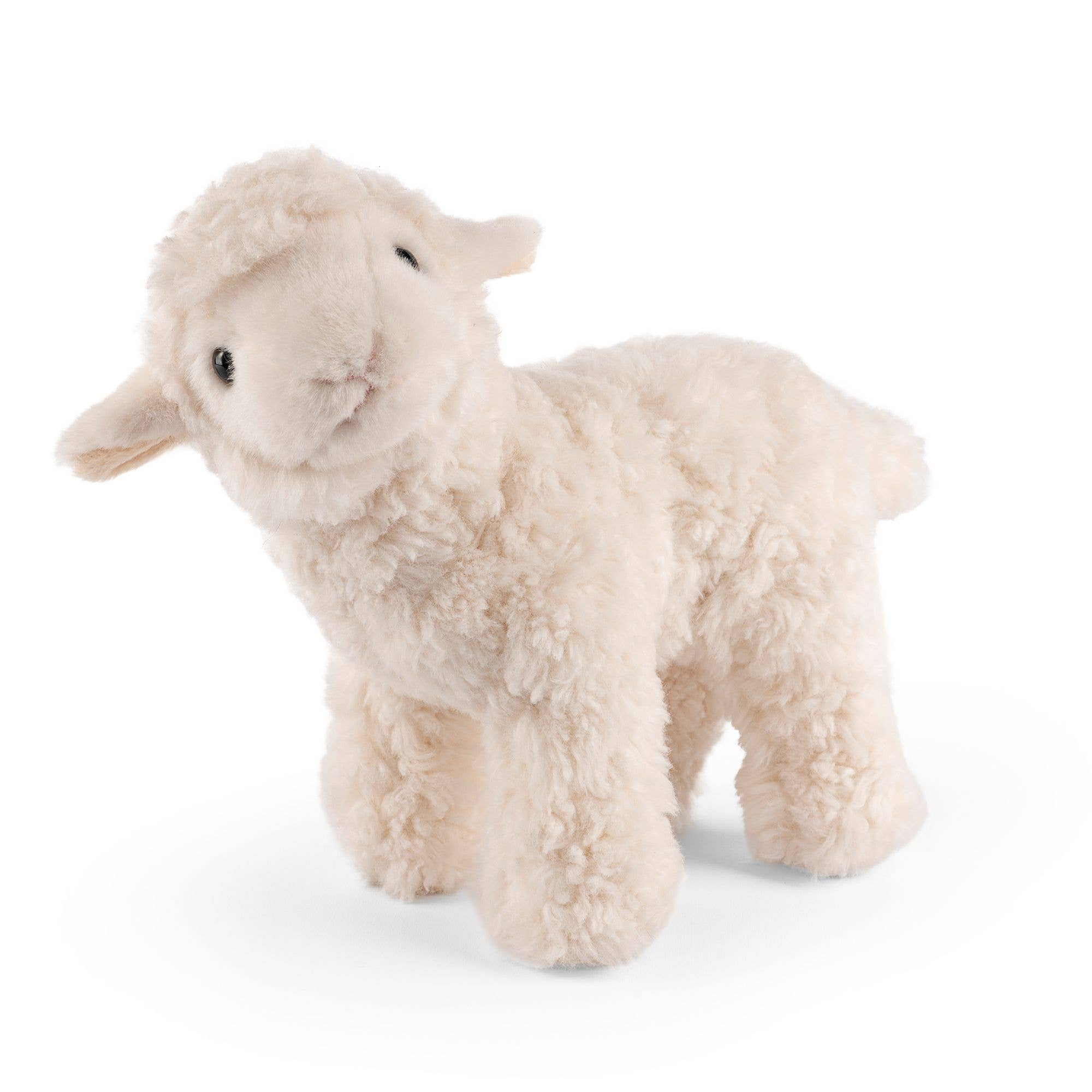 Lamb with Sound Plush