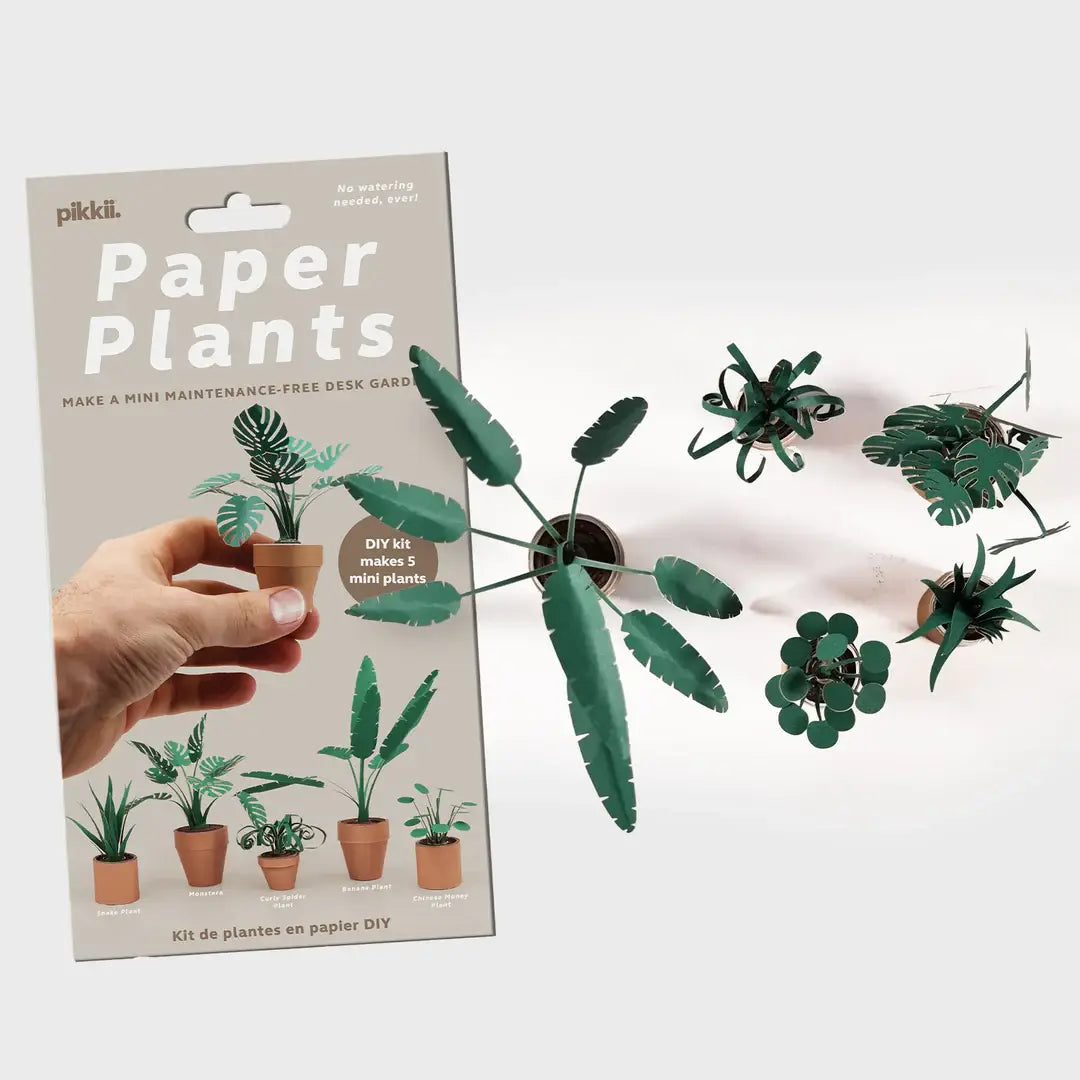 Pakkii Paper Plants packaging with paper plant models on a white background