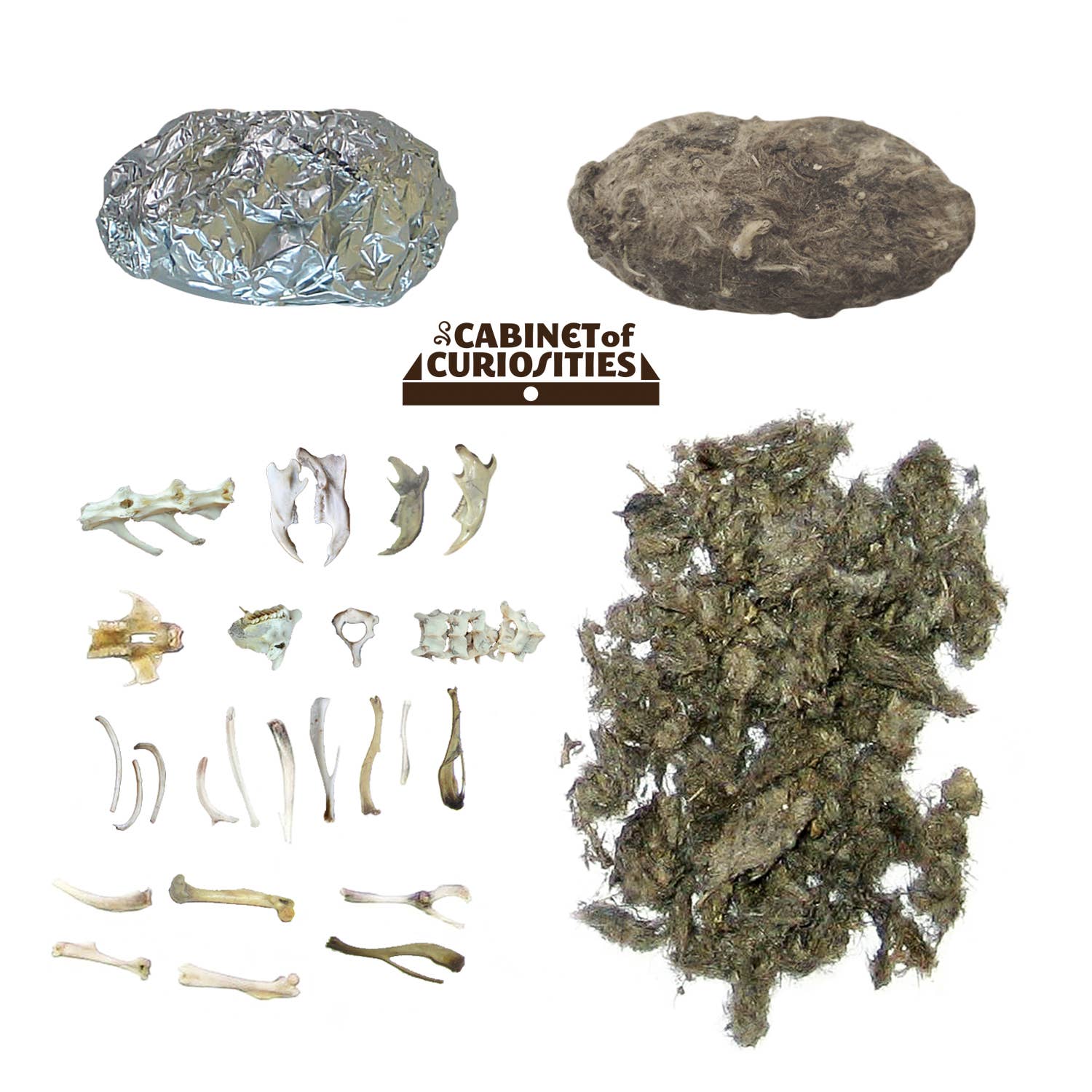 Cabinet of Owl Pellets | Dissection Kit Science