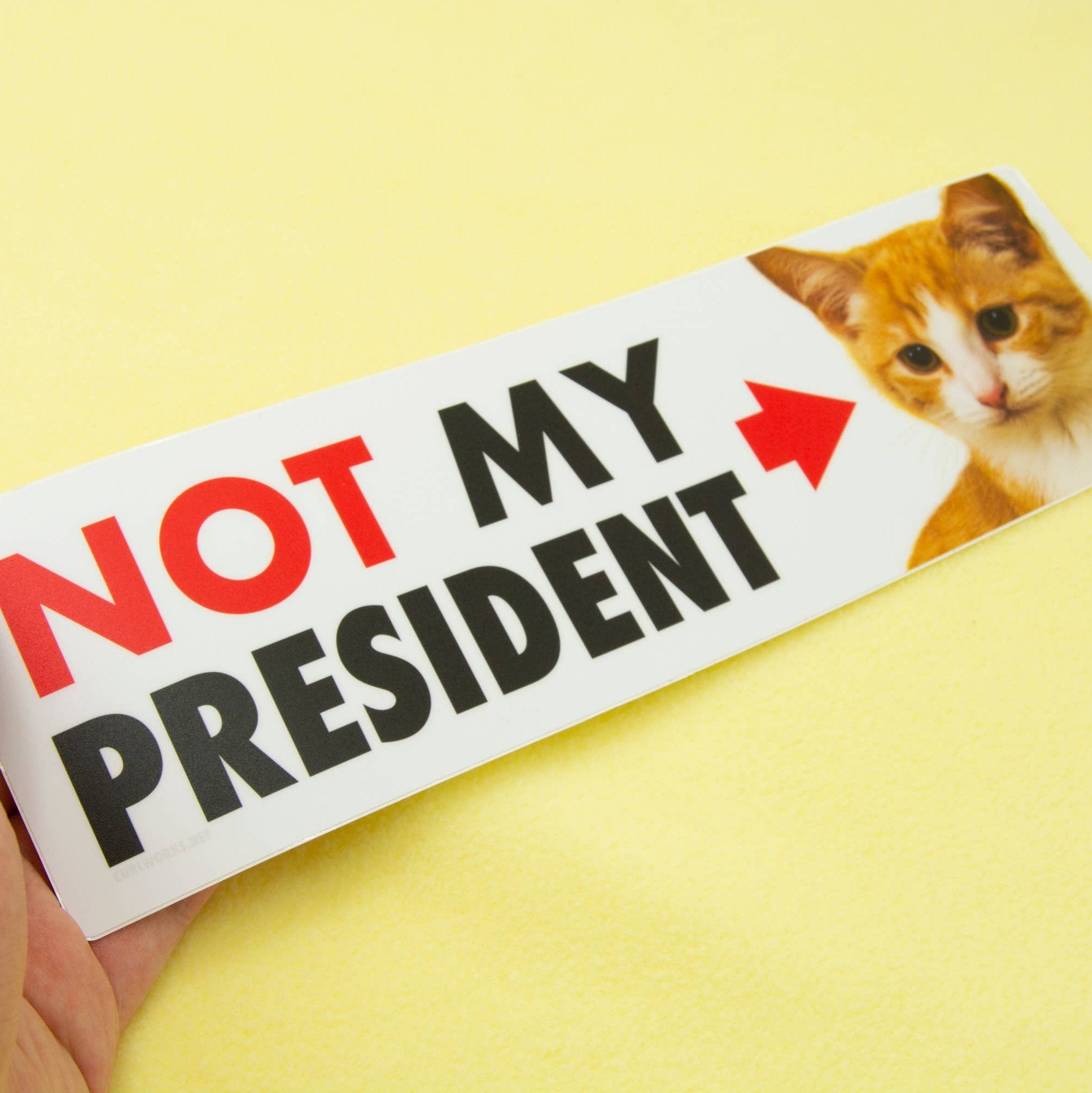 NOT My President (Kitten) - Matte Vinyl 10" Bumper Sticker