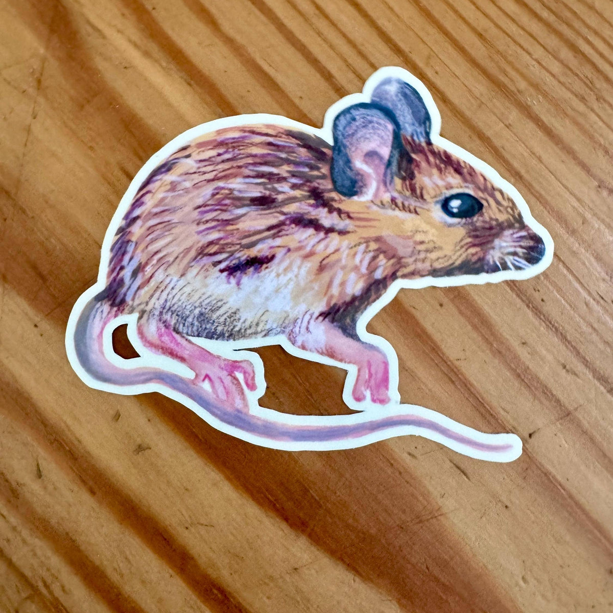 Woodland Animal Sticker for Nature Lovers