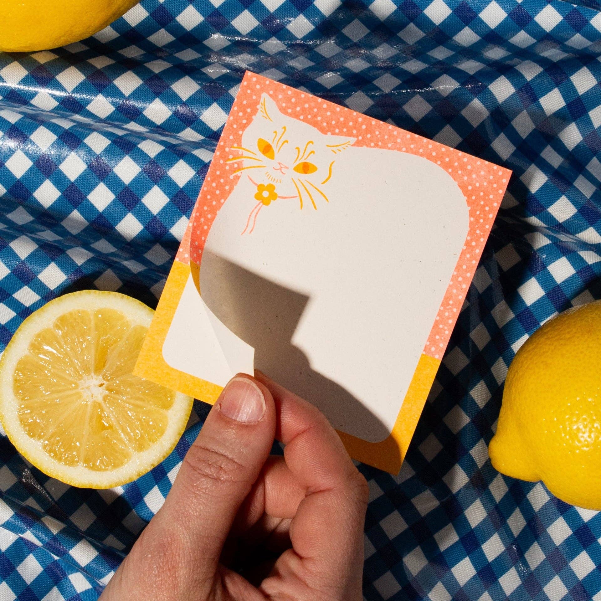 Hand holding a cat-shaped paper product with lemons on a blue checkered tablecloth