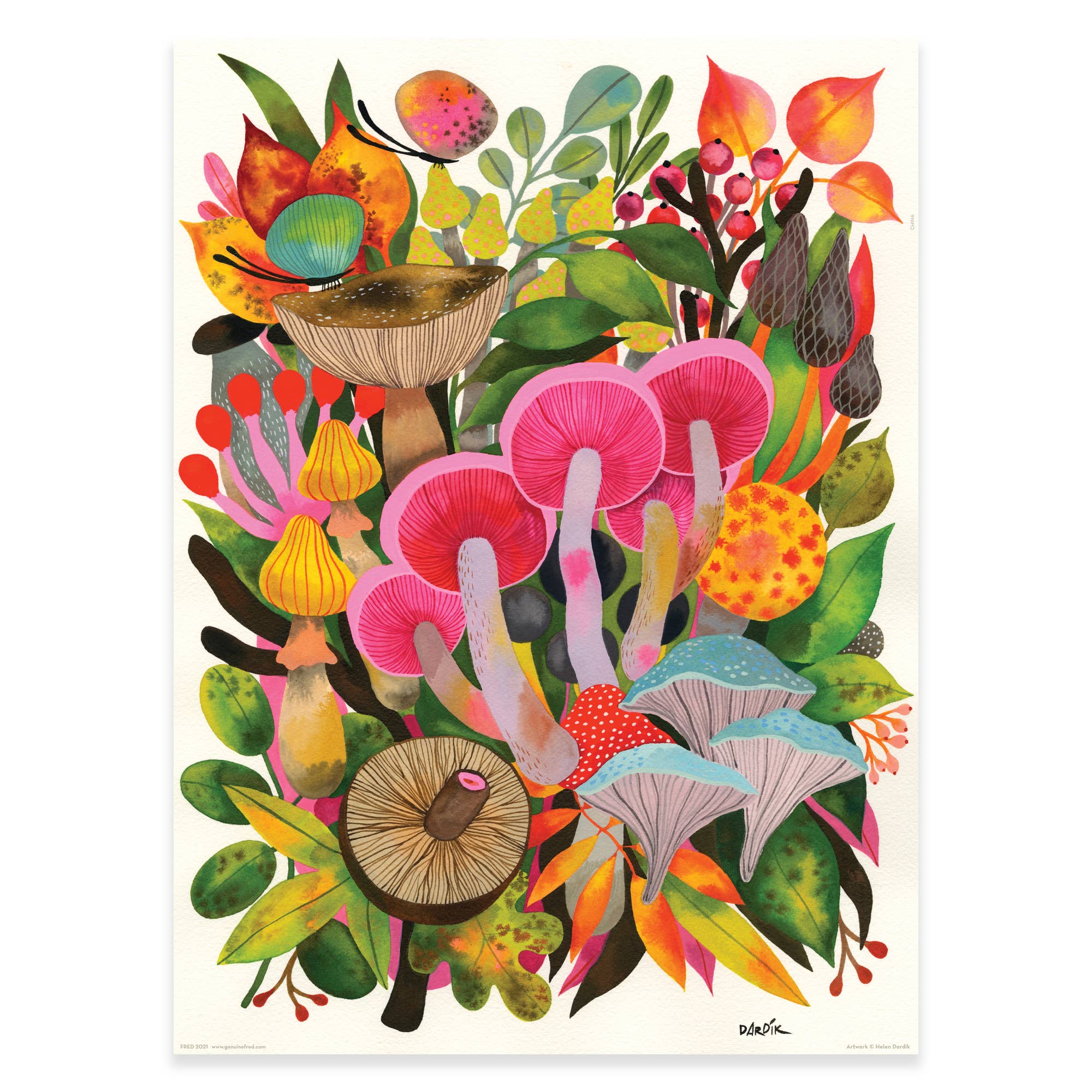 Colorful illustration of mushrooms and foliage on a white background