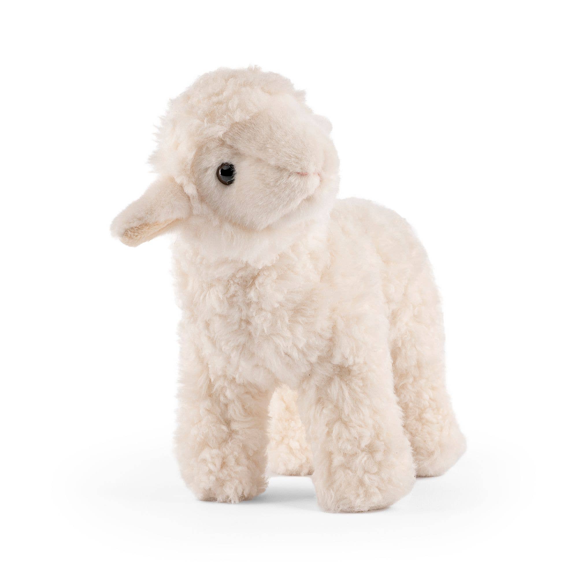 Lamb with Sound Plush