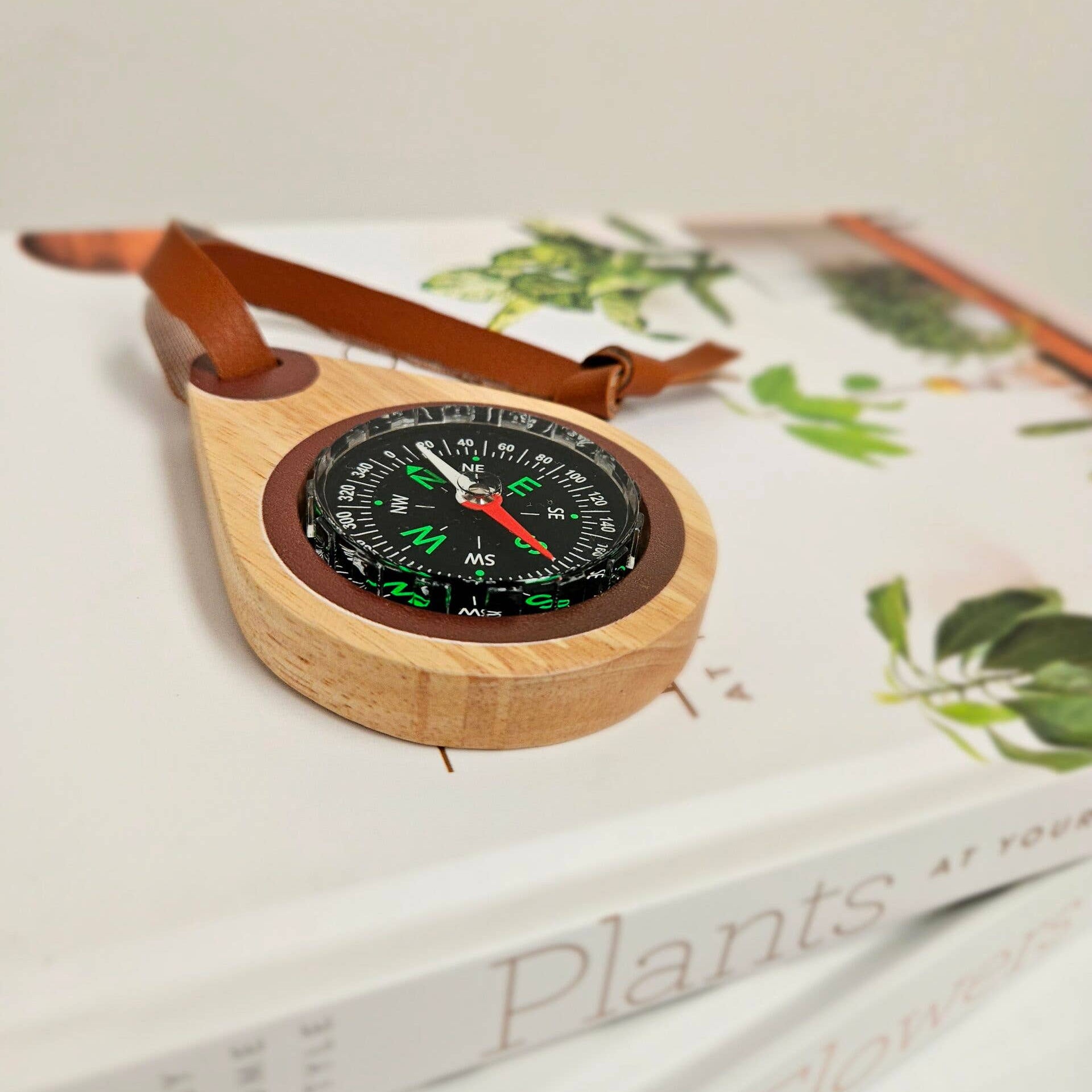Wooden compass