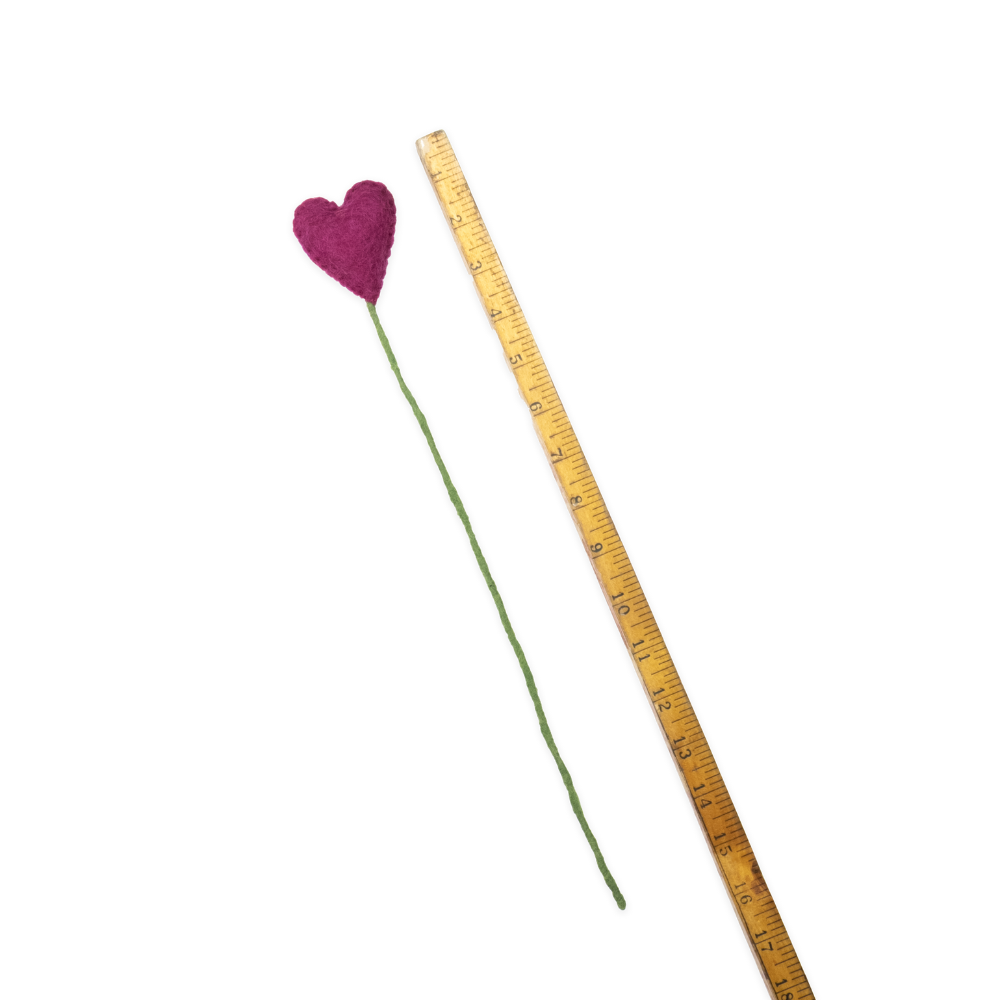 Purple heart-shaped flower on a green stem with a ruler for scale on a white background