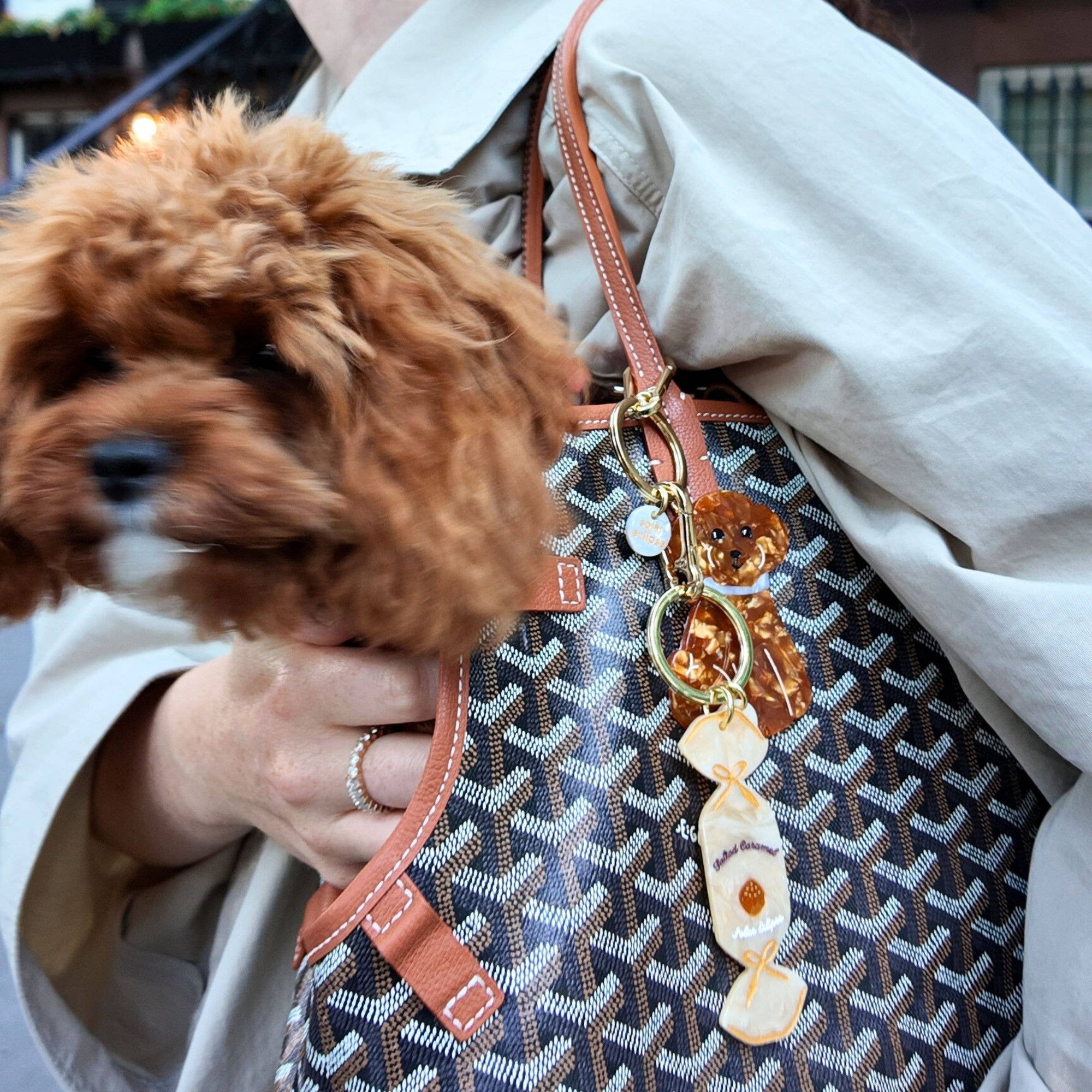 Person holding a patterned handbag with a dog peeking out from behind it.