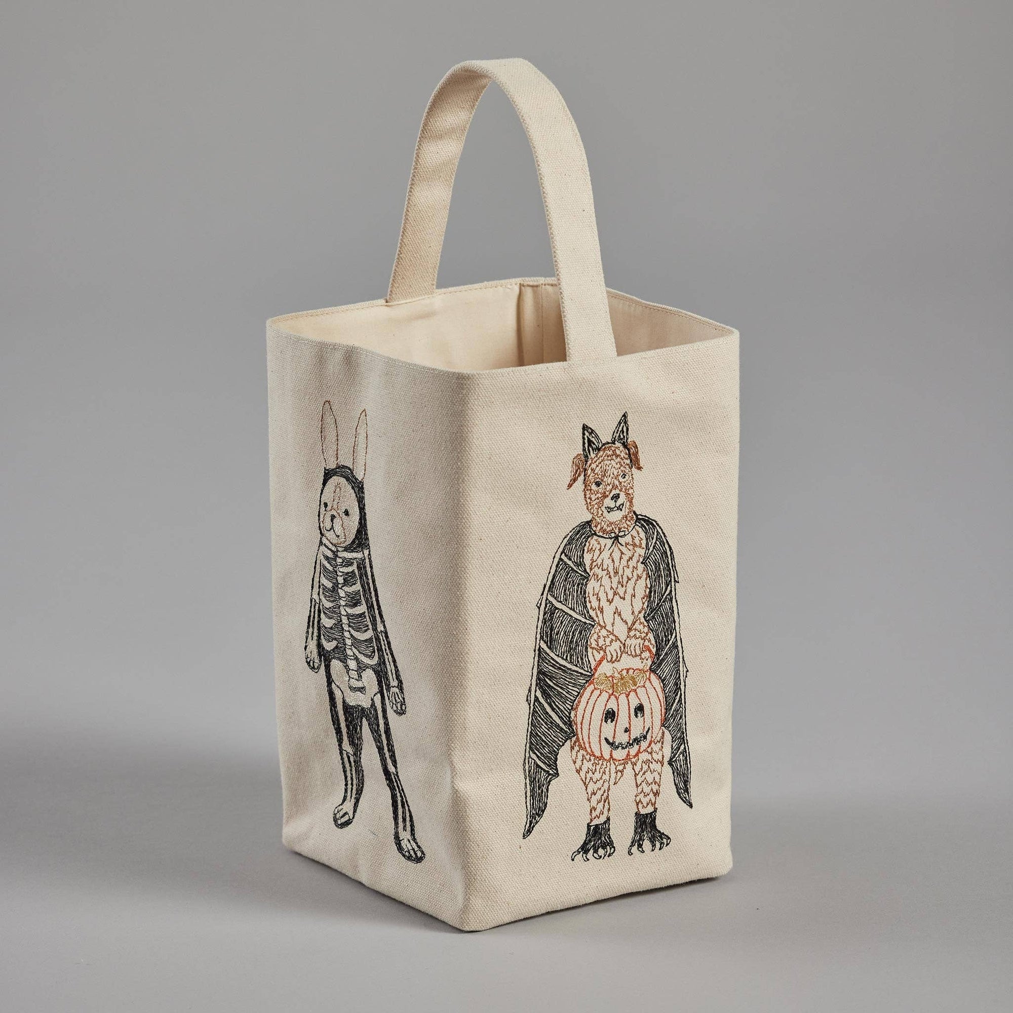 Halloween Costumes Bag