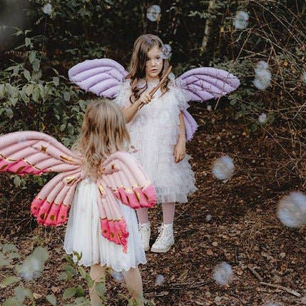 Two children in fairy costumes with pink and purple wings standing in a forest setting.