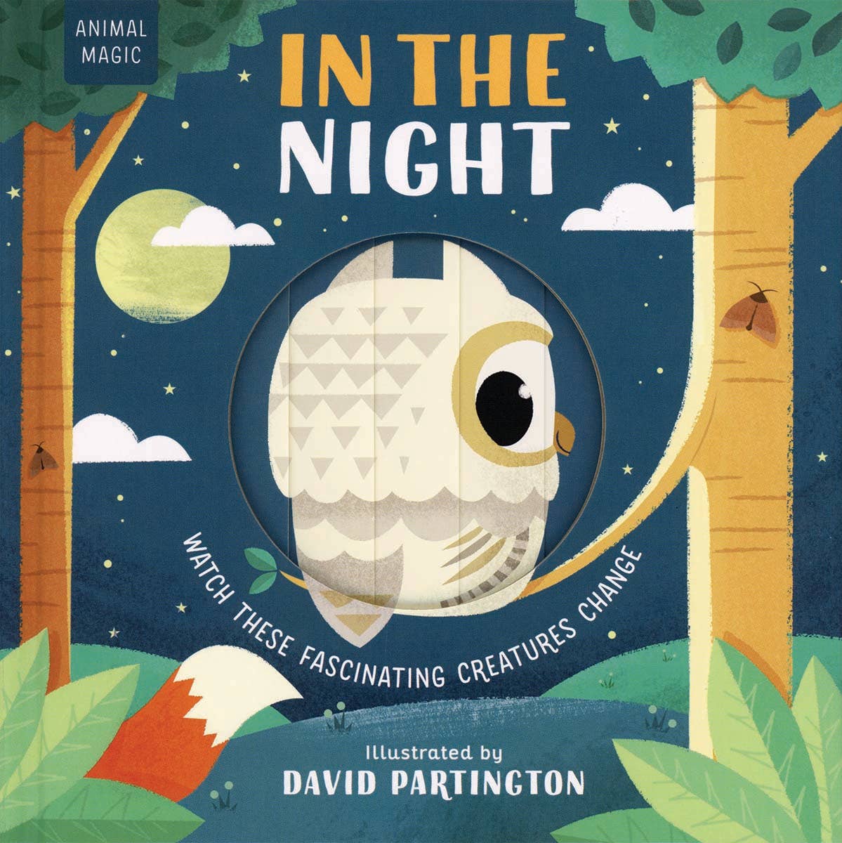 Book cover of 'In the Night' with an owl illustration and night sky background.