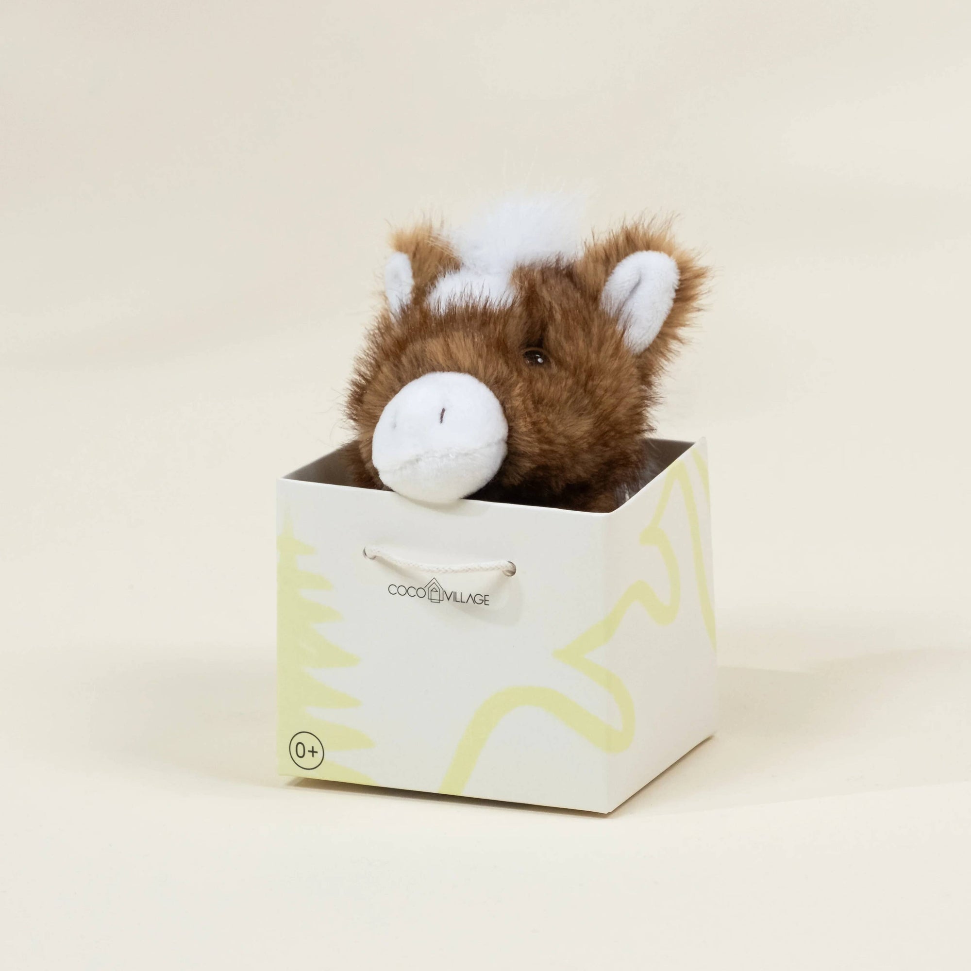 Plush toy bear in a box with a white background