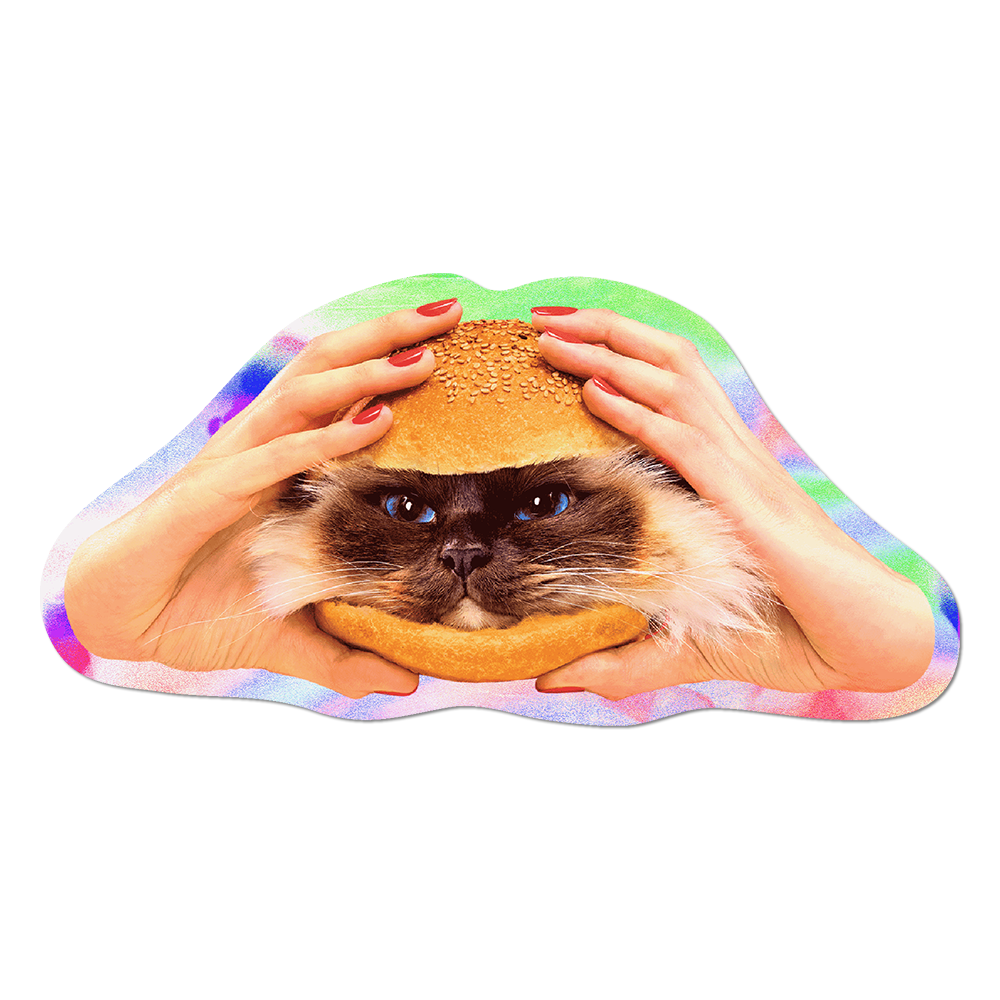 Cat-shaped cushion with hands holding a bun over a cat's face on a white background