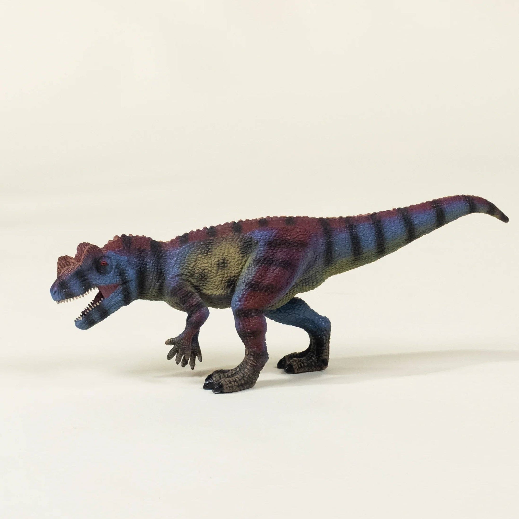 Ceratosaurus Dinosaur in a Collectible Box