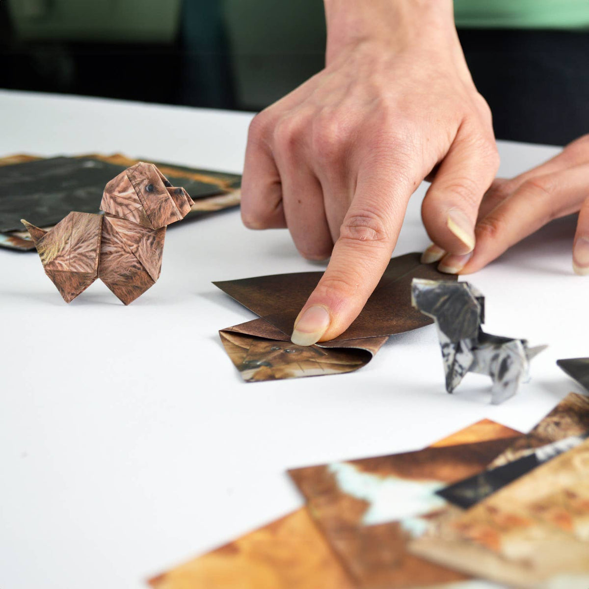 Person arranging leaf art on a white surface