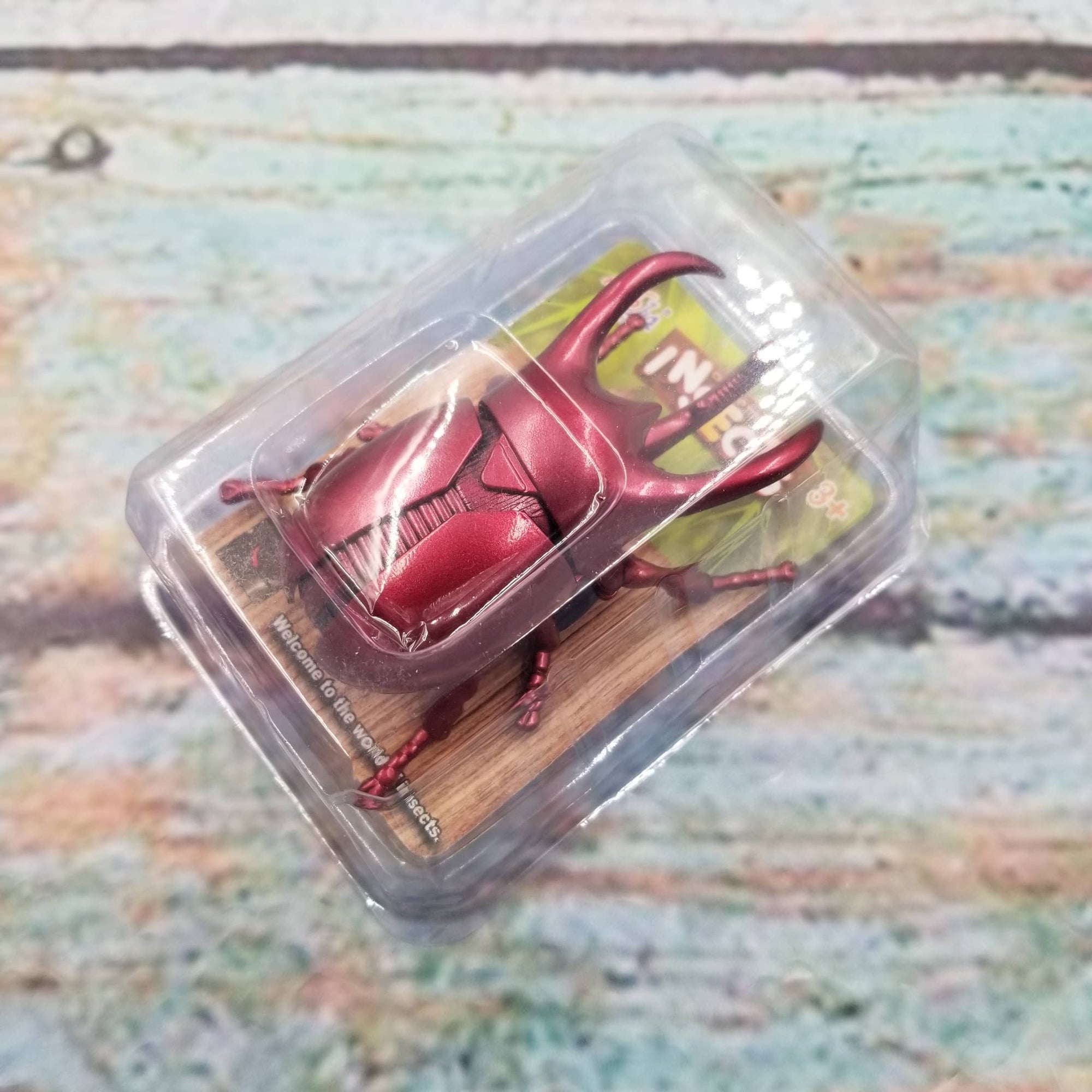 Red beetle figurine in clear packaging on a textured surface