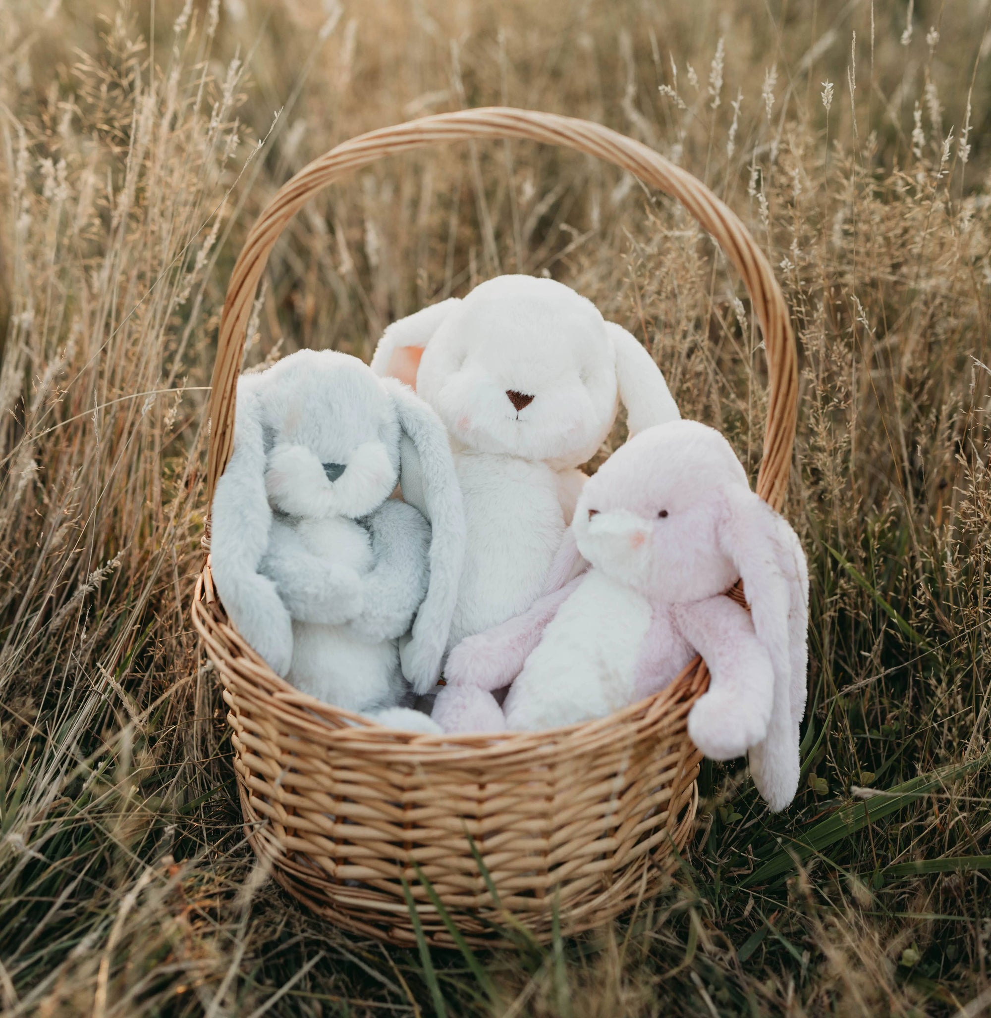Wicker basket with plush bunny toys in a field