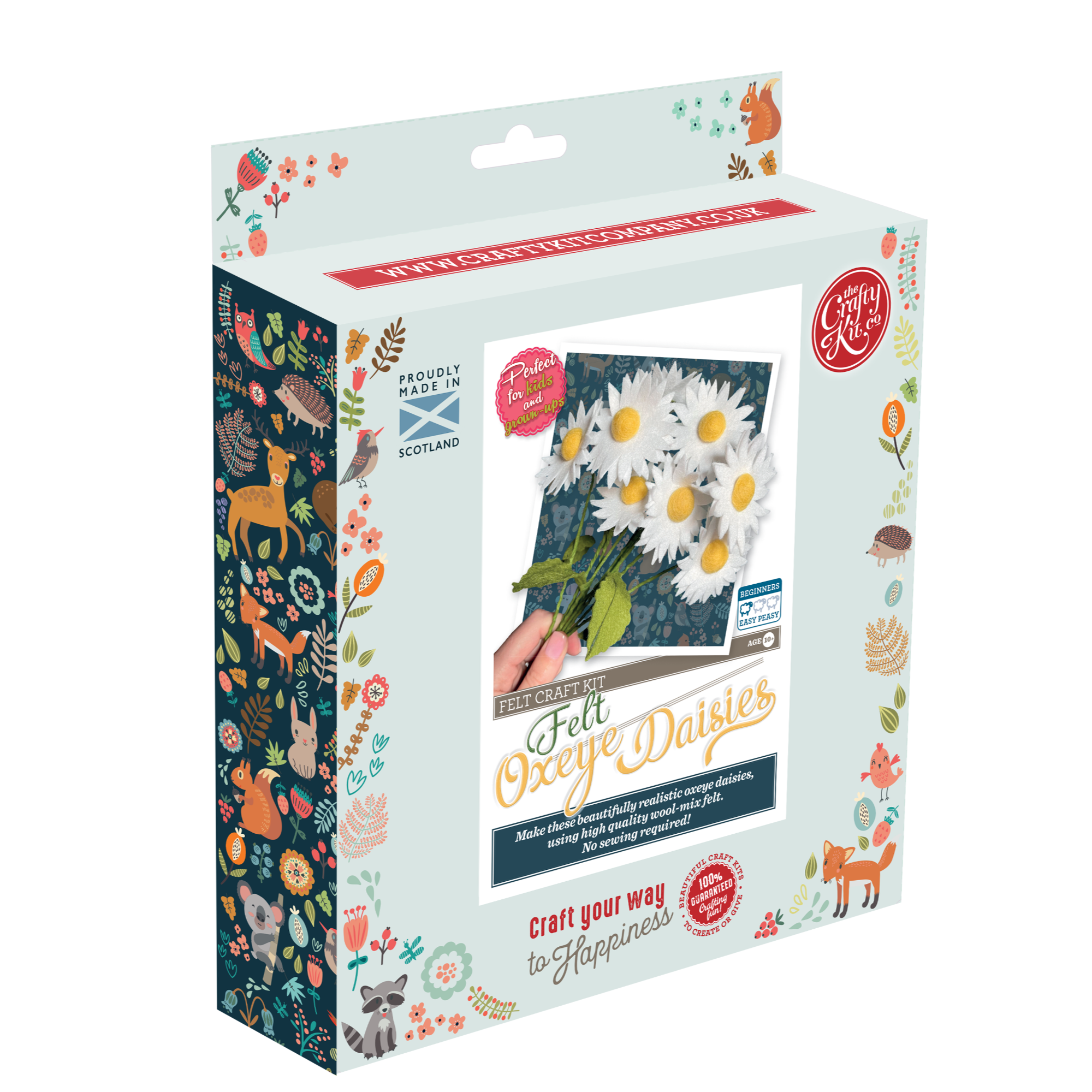 Felt Oxeye Daisies Flower Craft Kit