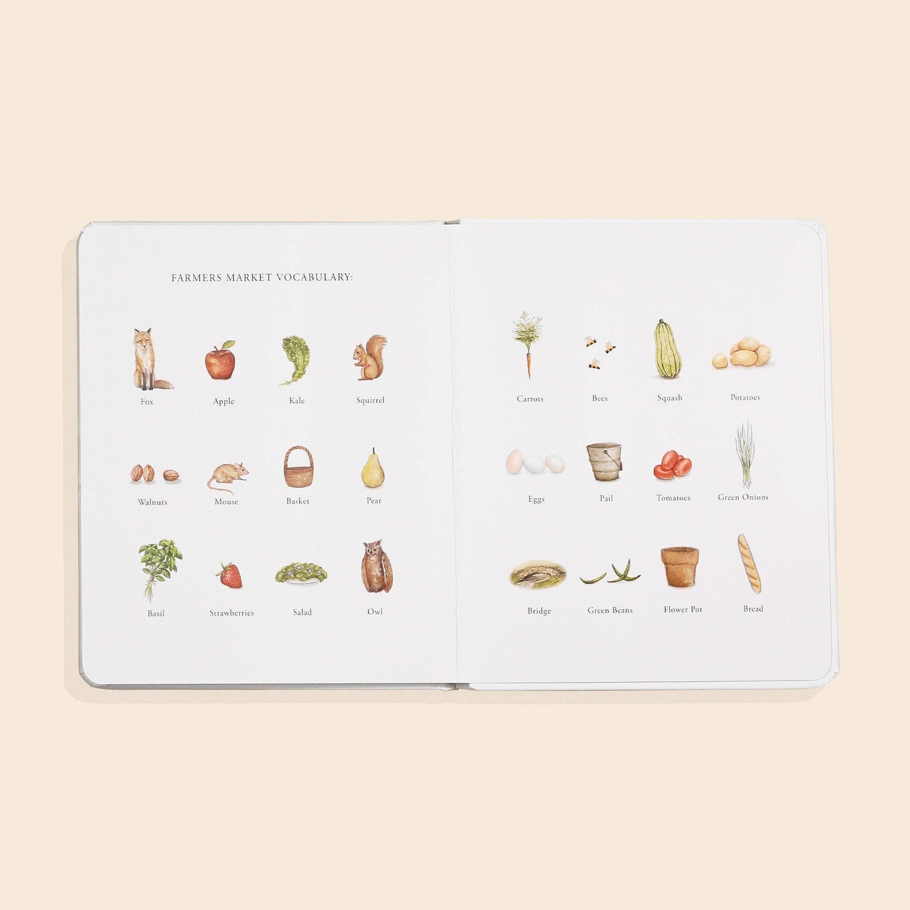 Illustrated vocabulary book with food-themed illustrations on a beige background