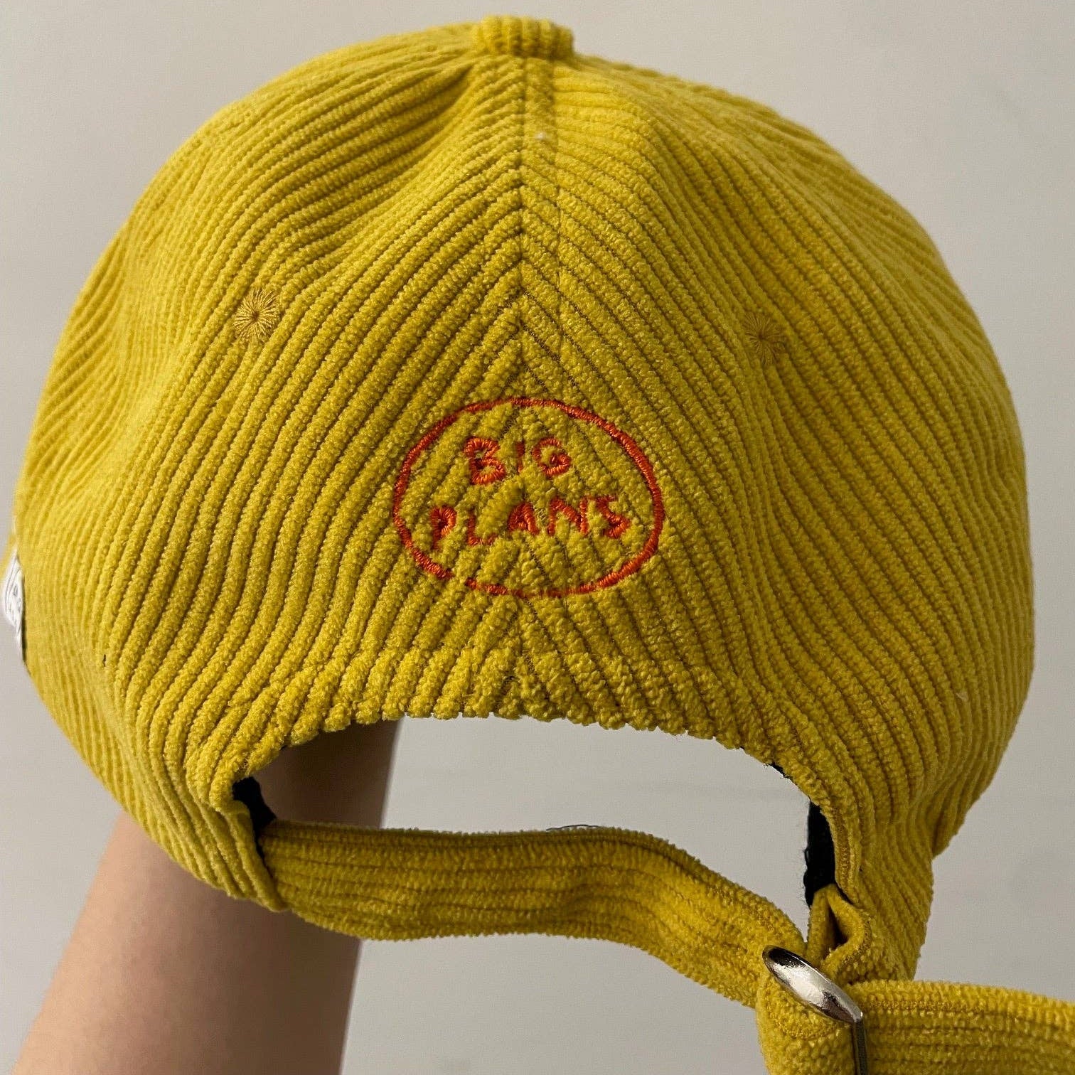 BIG PLANS: Yellow corduroy baseball cap