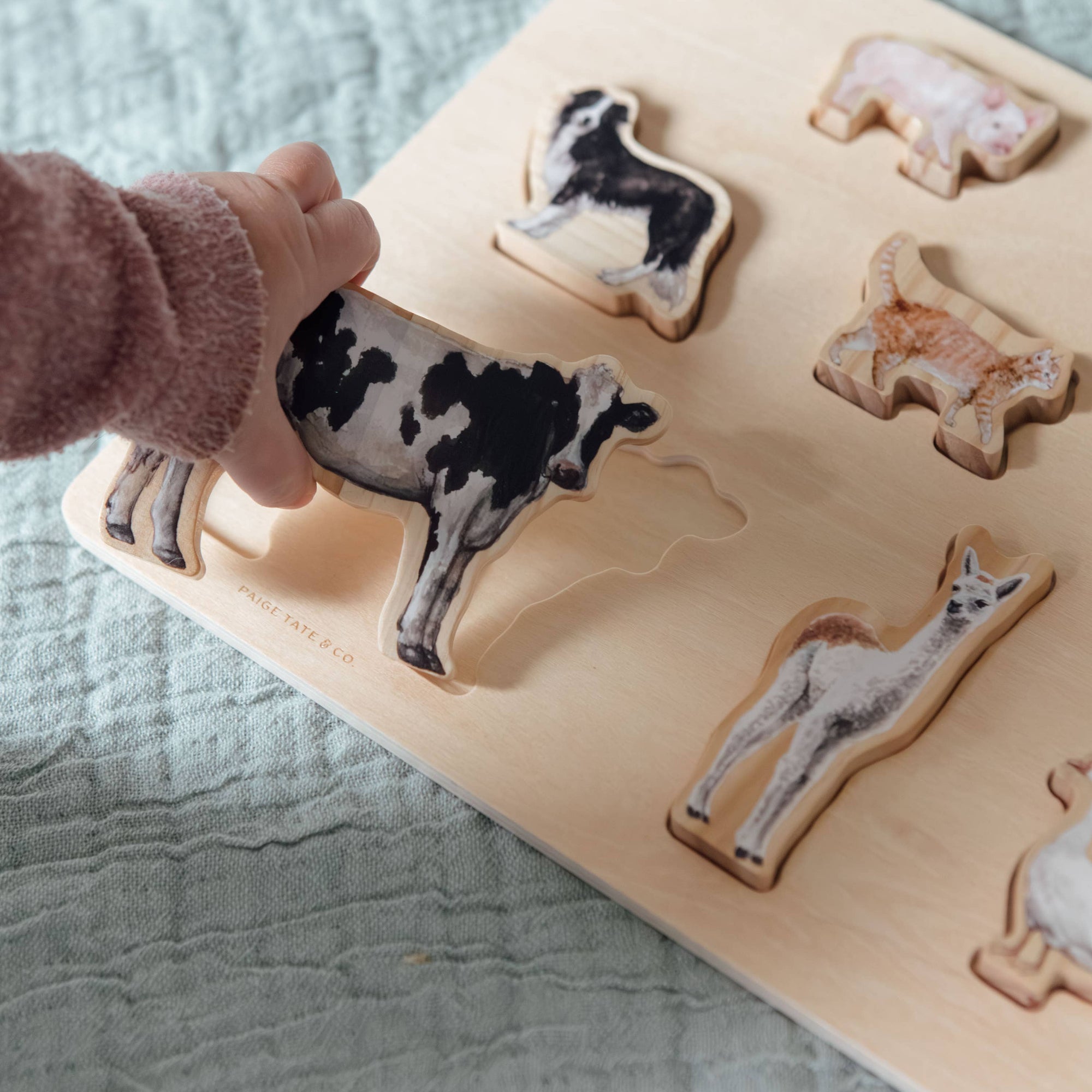 Wooden puzzle with animal shapes on a textured surface