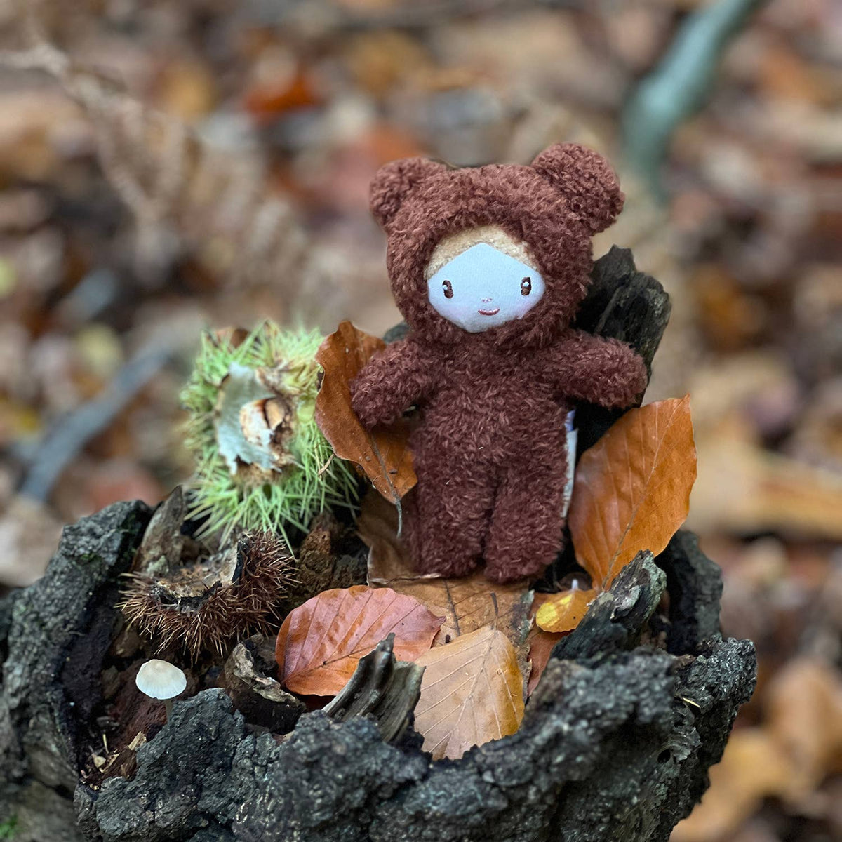 Small plush bear toy in a natural setting with leaves and twigs.