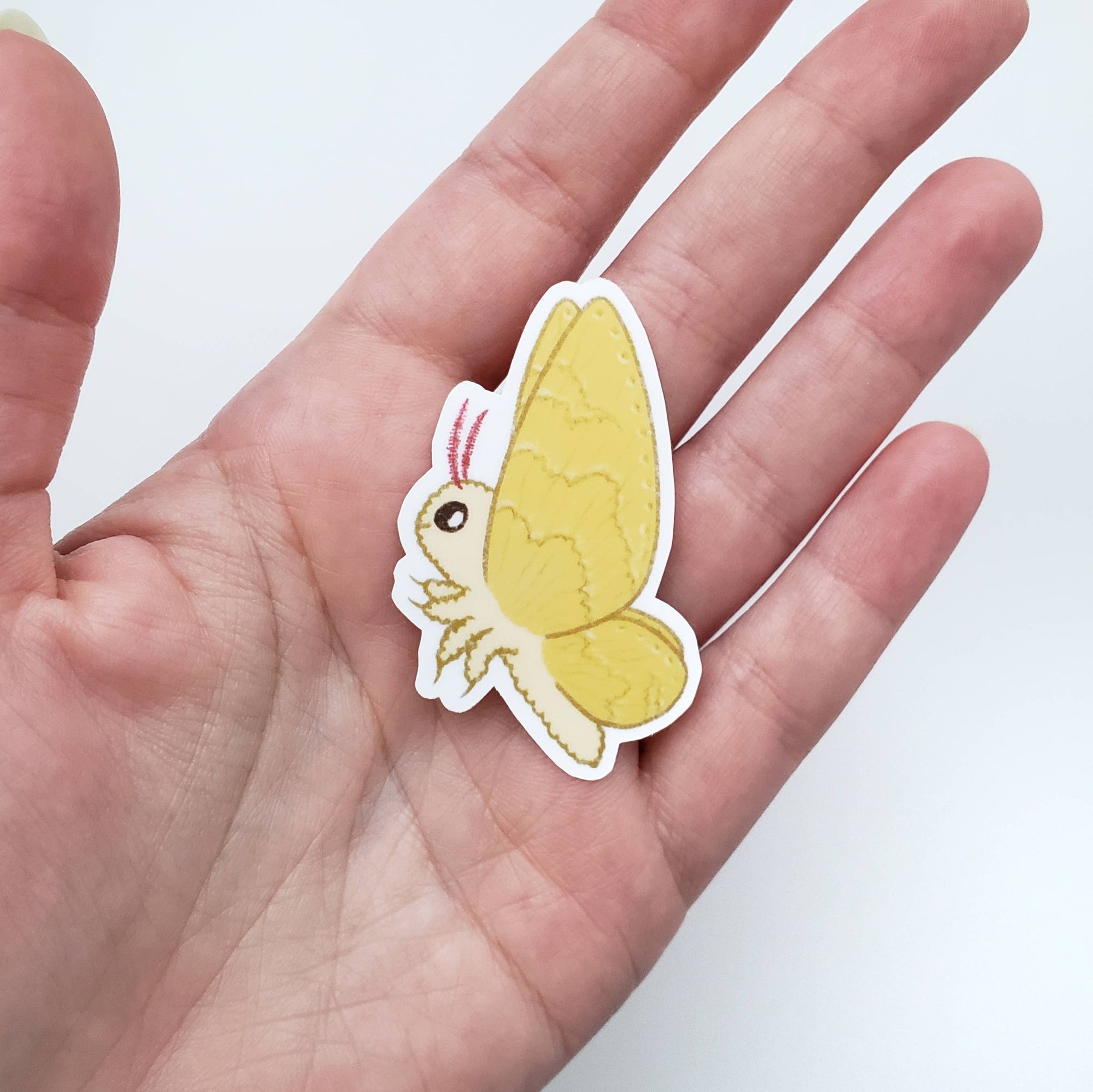 Butterfly-shaped sticker held in a hand against a white background